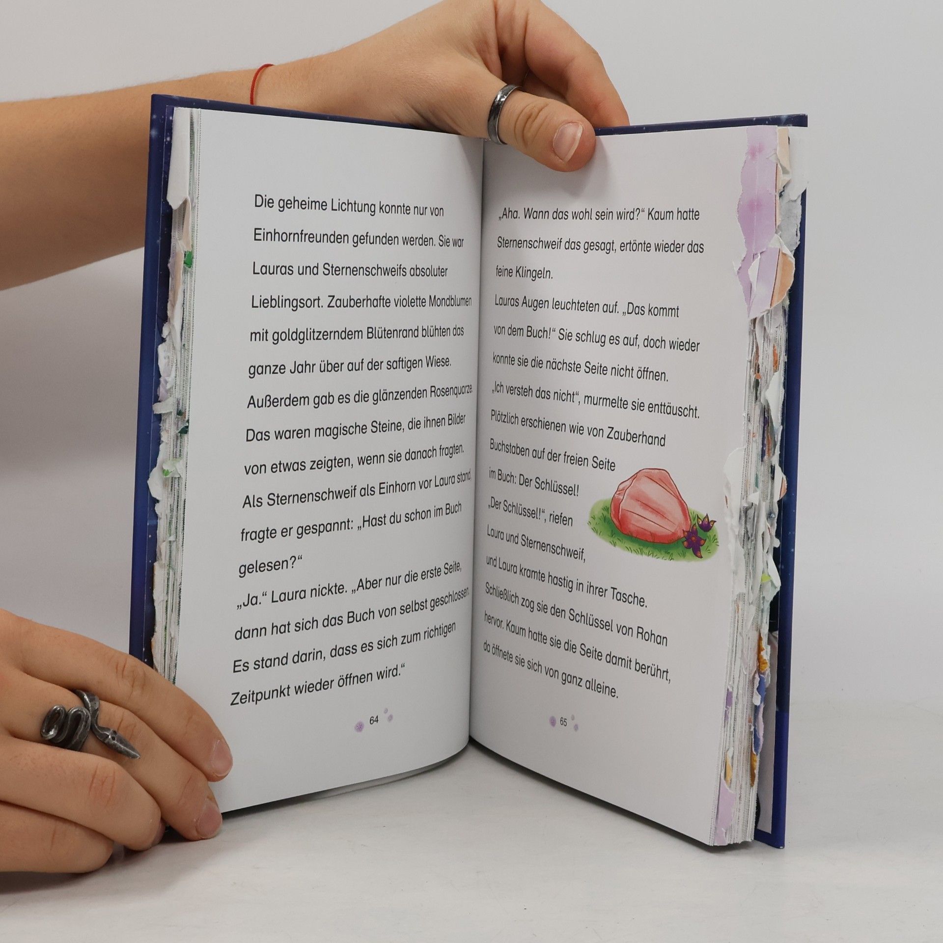 Linda Champan Sternenschweif. Das magische Buch
