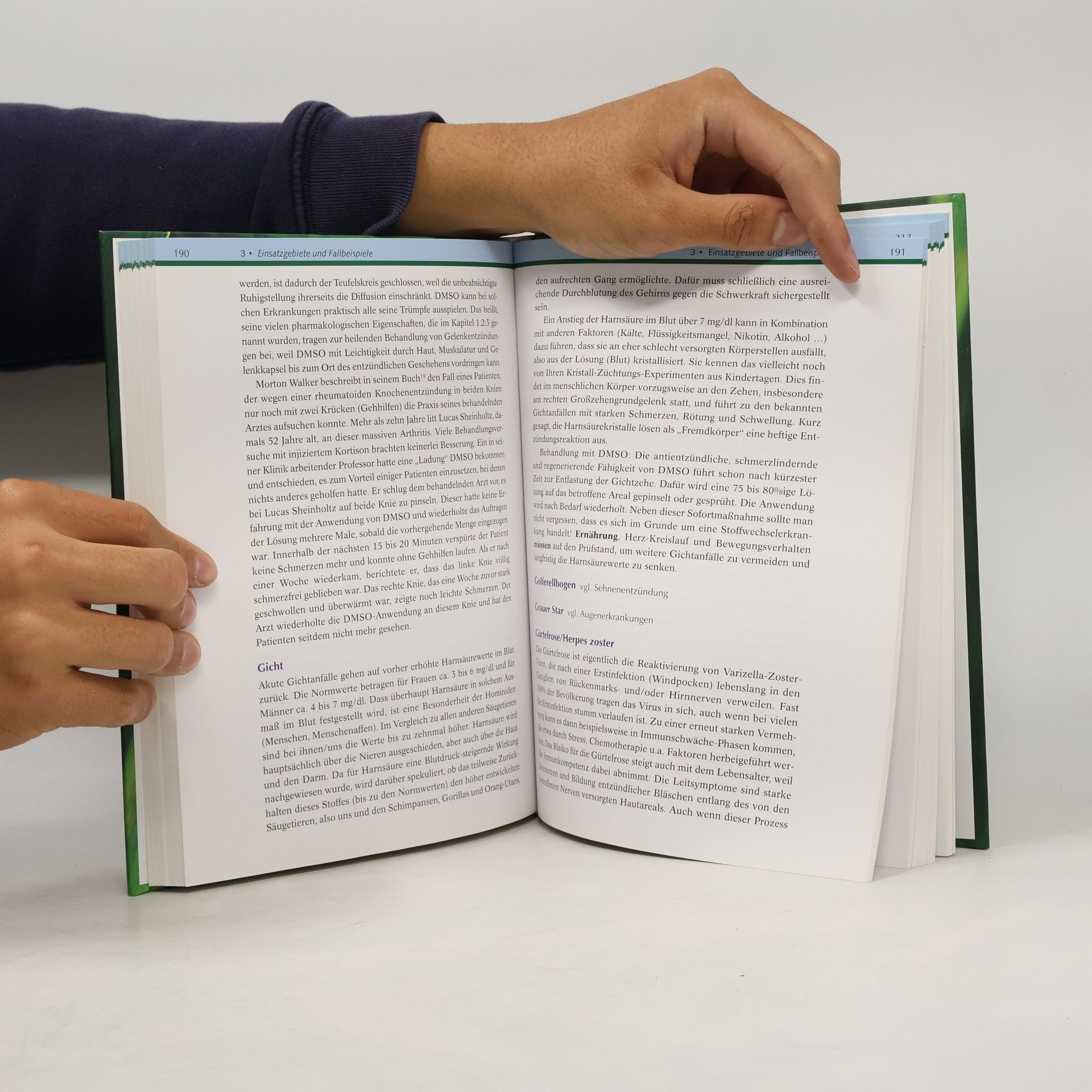 Hartmut P. A. Fischer Das DMSO-Handbuch