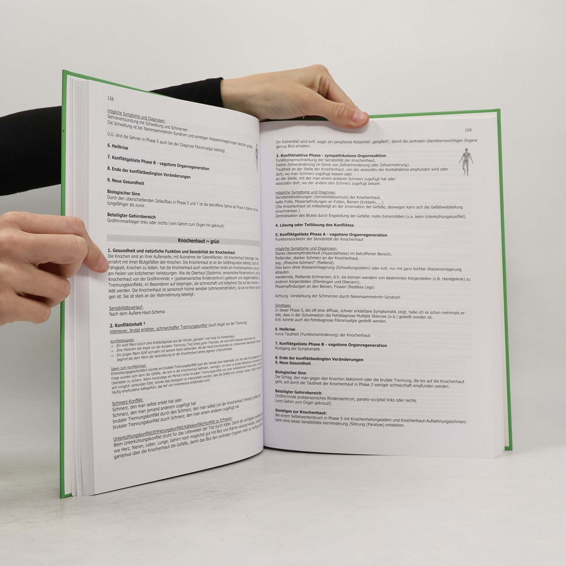 Rainer Körner Lehrbuch für Biologisches Heilwissen