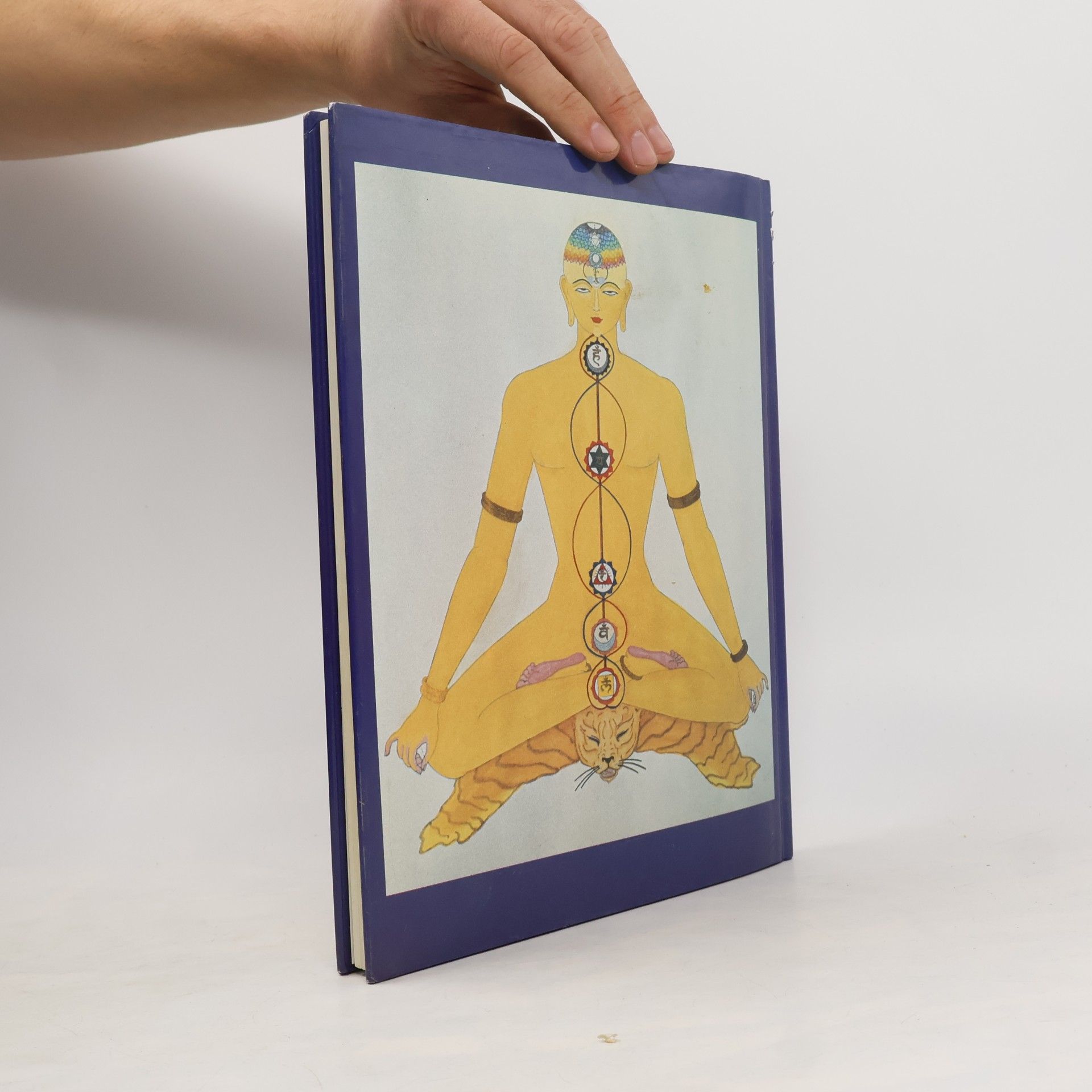 Harish Johari Das große Chakra-Buch