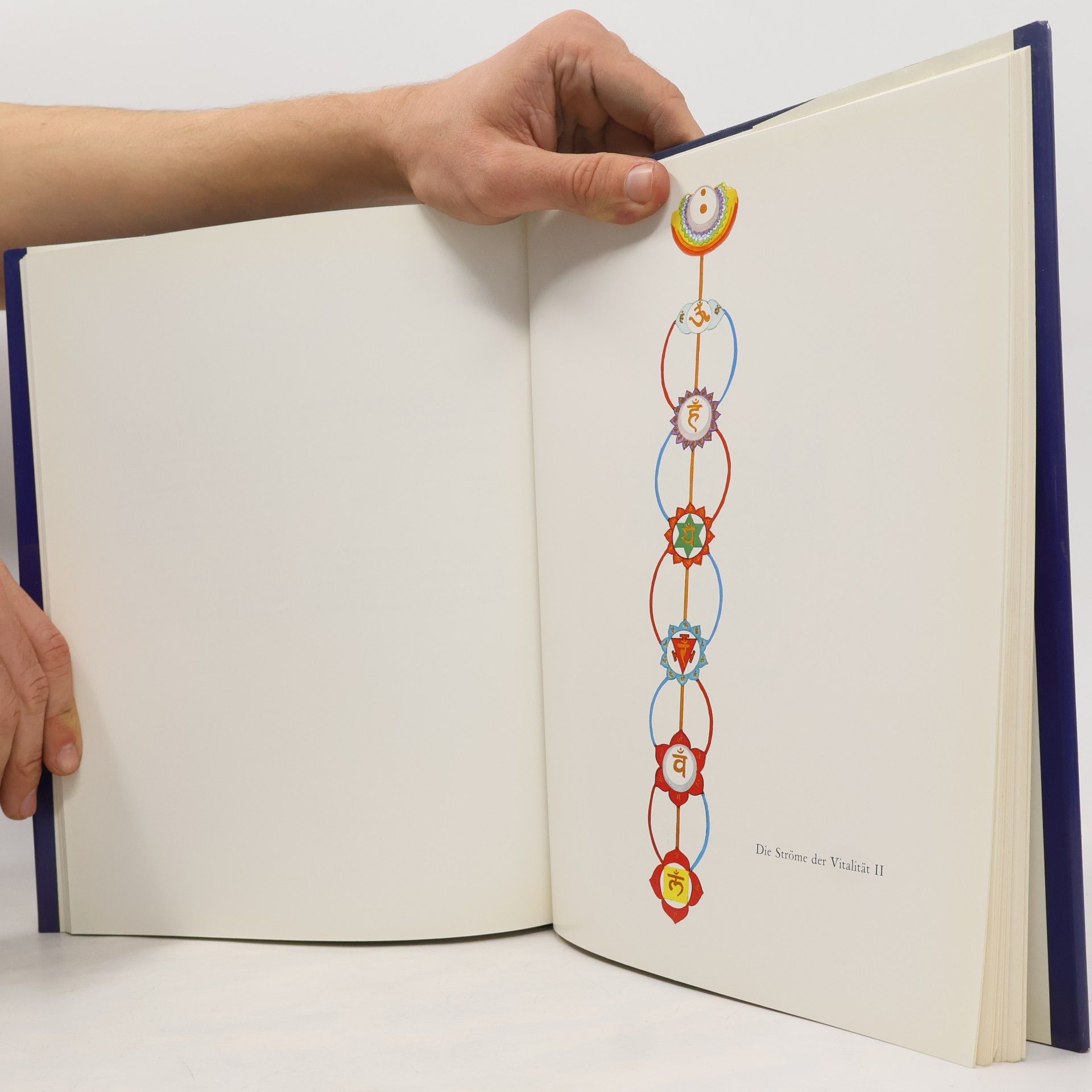 Harish Johari Das große Chakra-Buch
