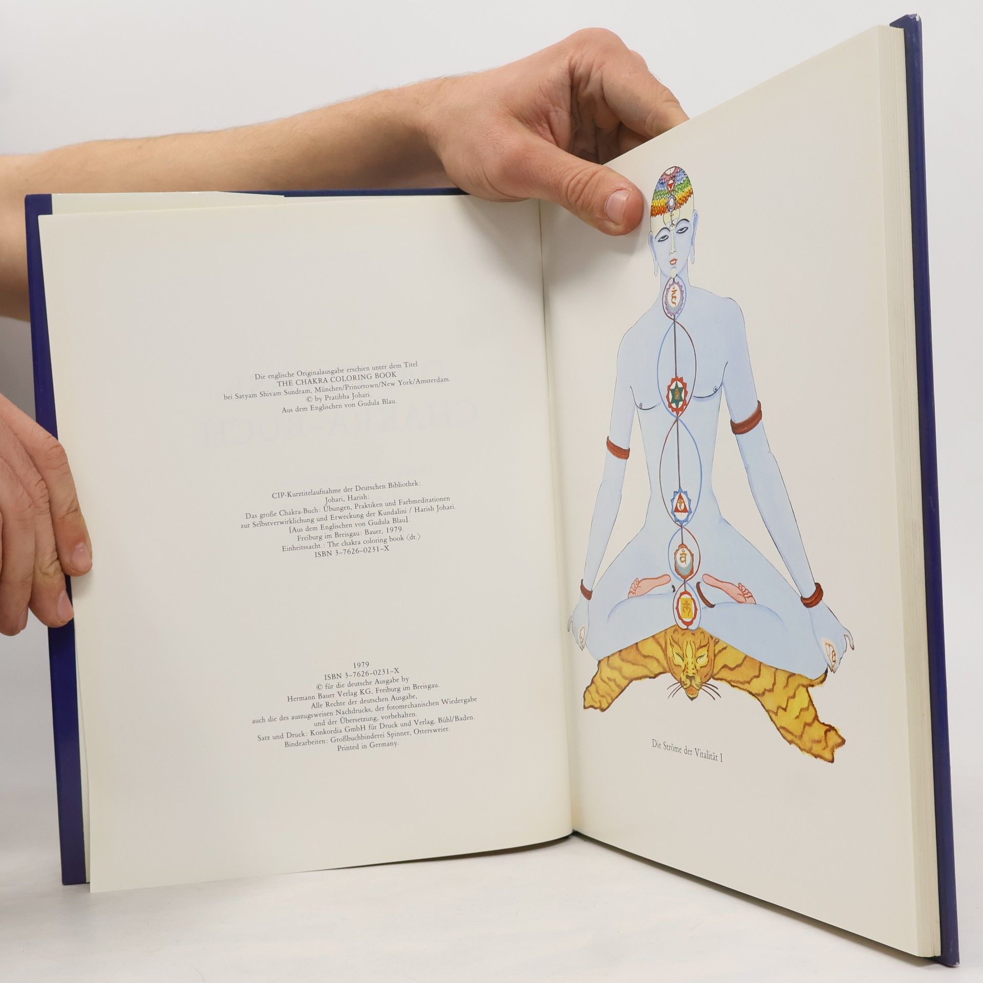 Harish Johari Das große Chakra-Buch