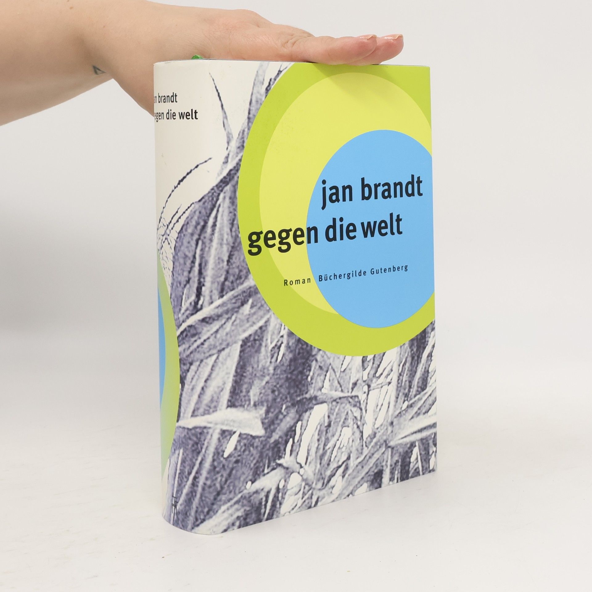 Jan Brandt Gegen die Welt