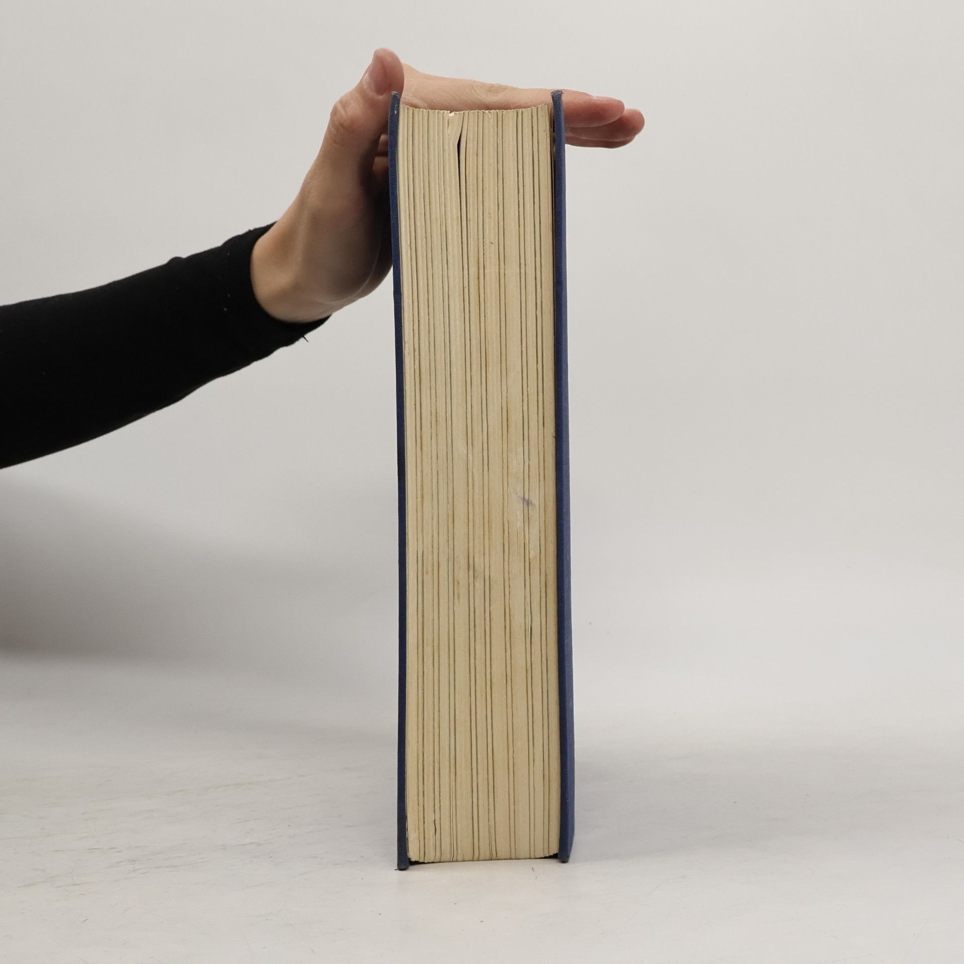 Carlo Schmid Zeitgeschichte aus erster Hand