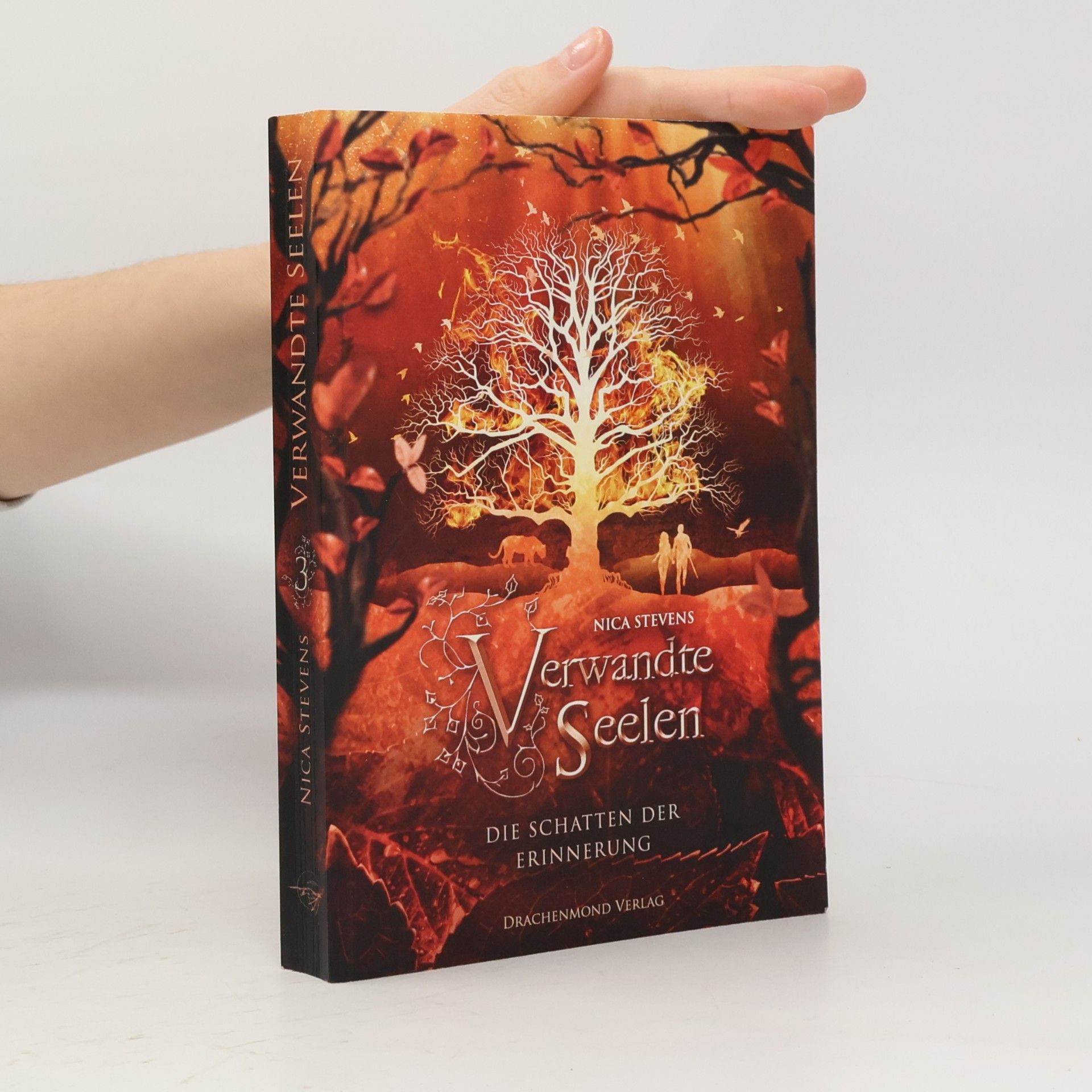 Nica Stevens Die Schatten der Erinnerung