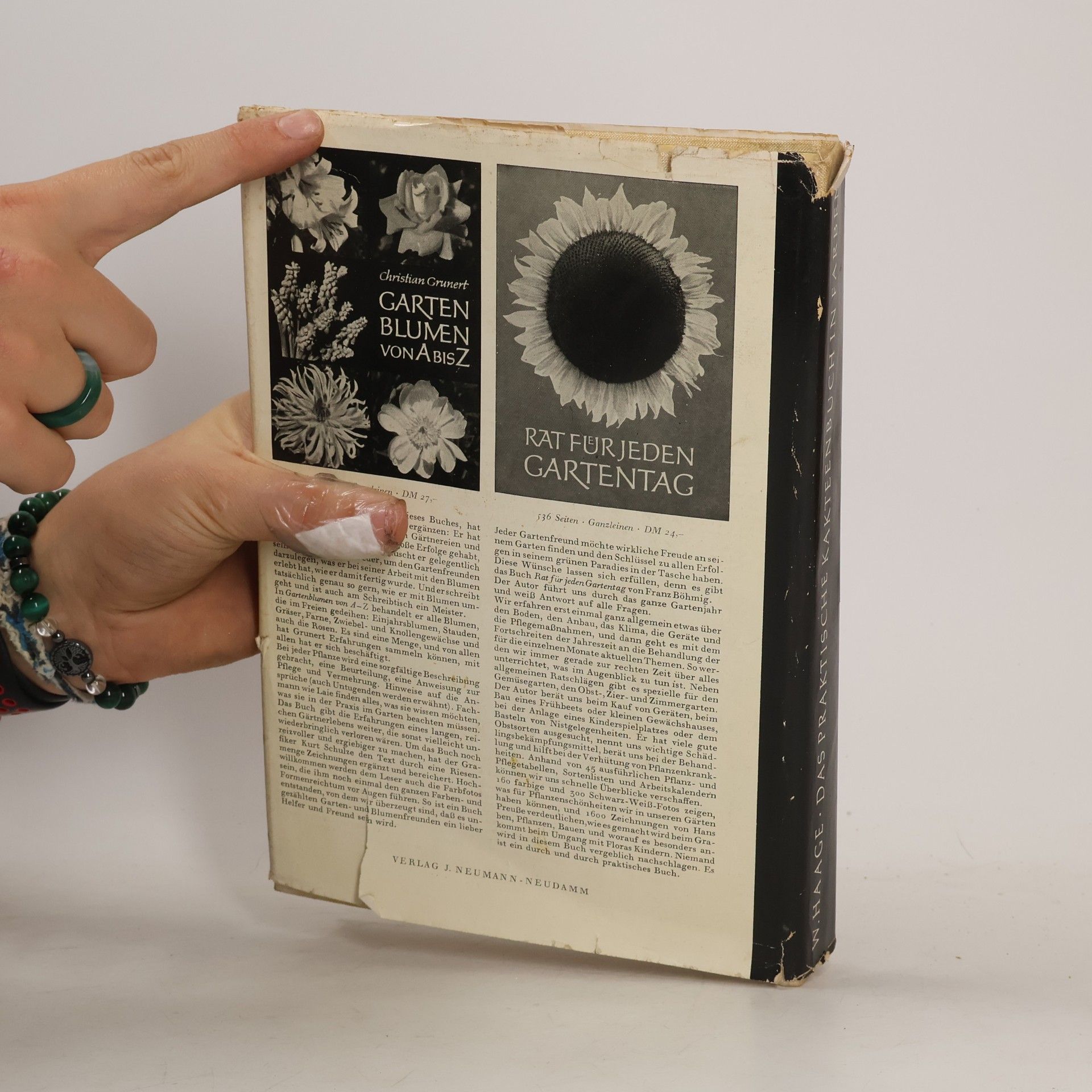 W. Haage Das praktische Kakteenbuch
