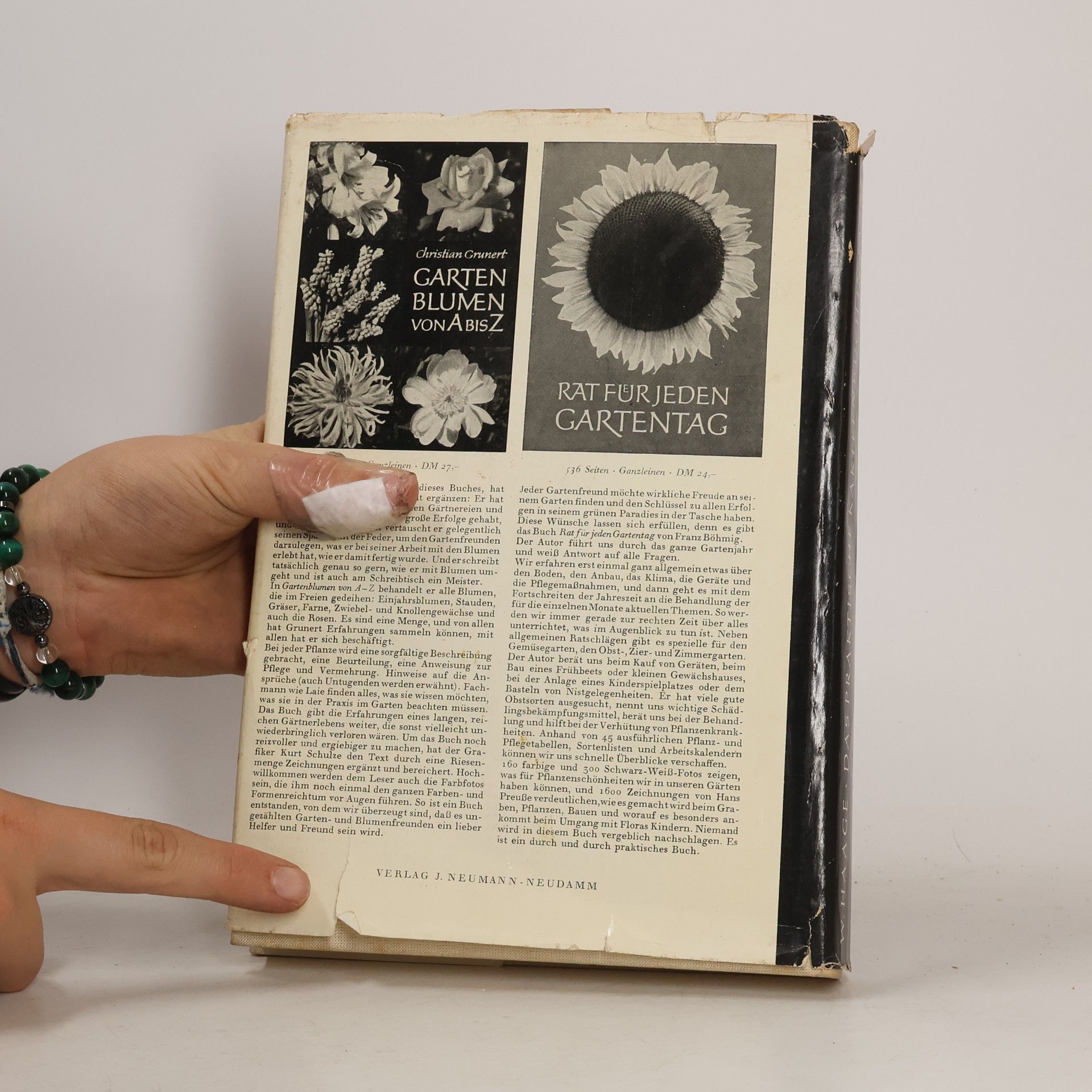 W. Haage Das praktische Kakteenbuch