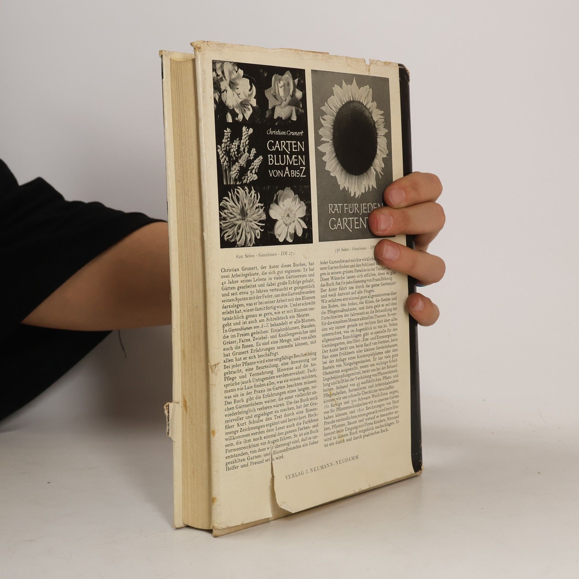 W. Haage Das praktische Kakteenbuch