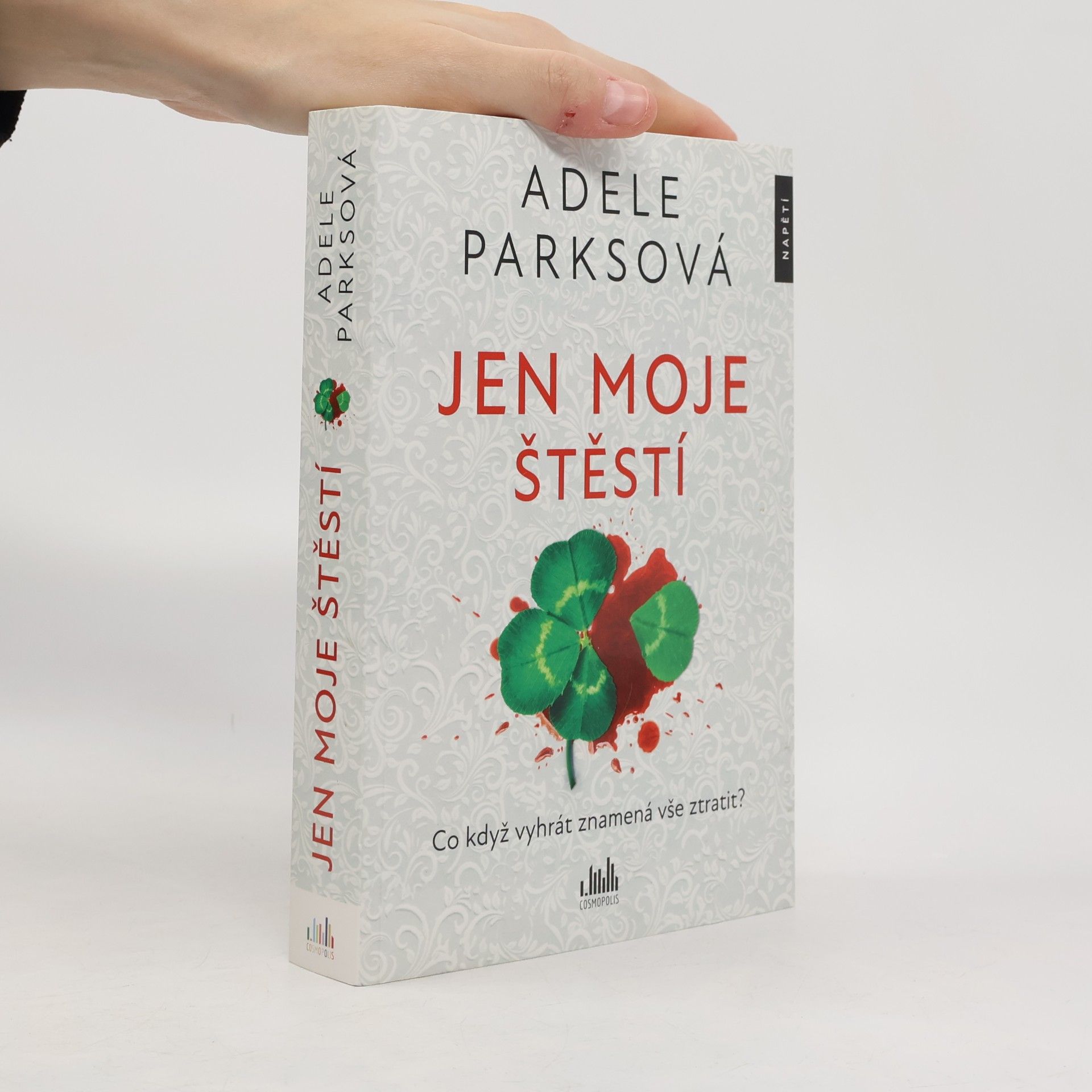 Adele Parks Jen moje štěstí