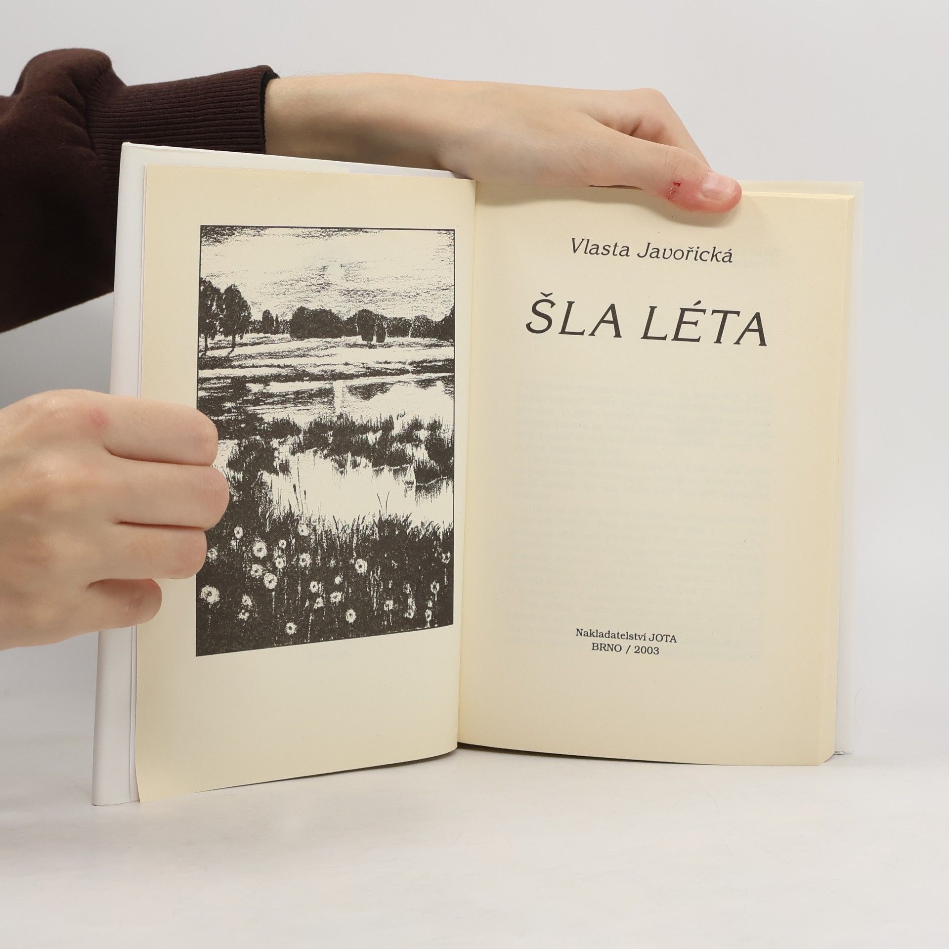 Vlasta Javořická Šla léta