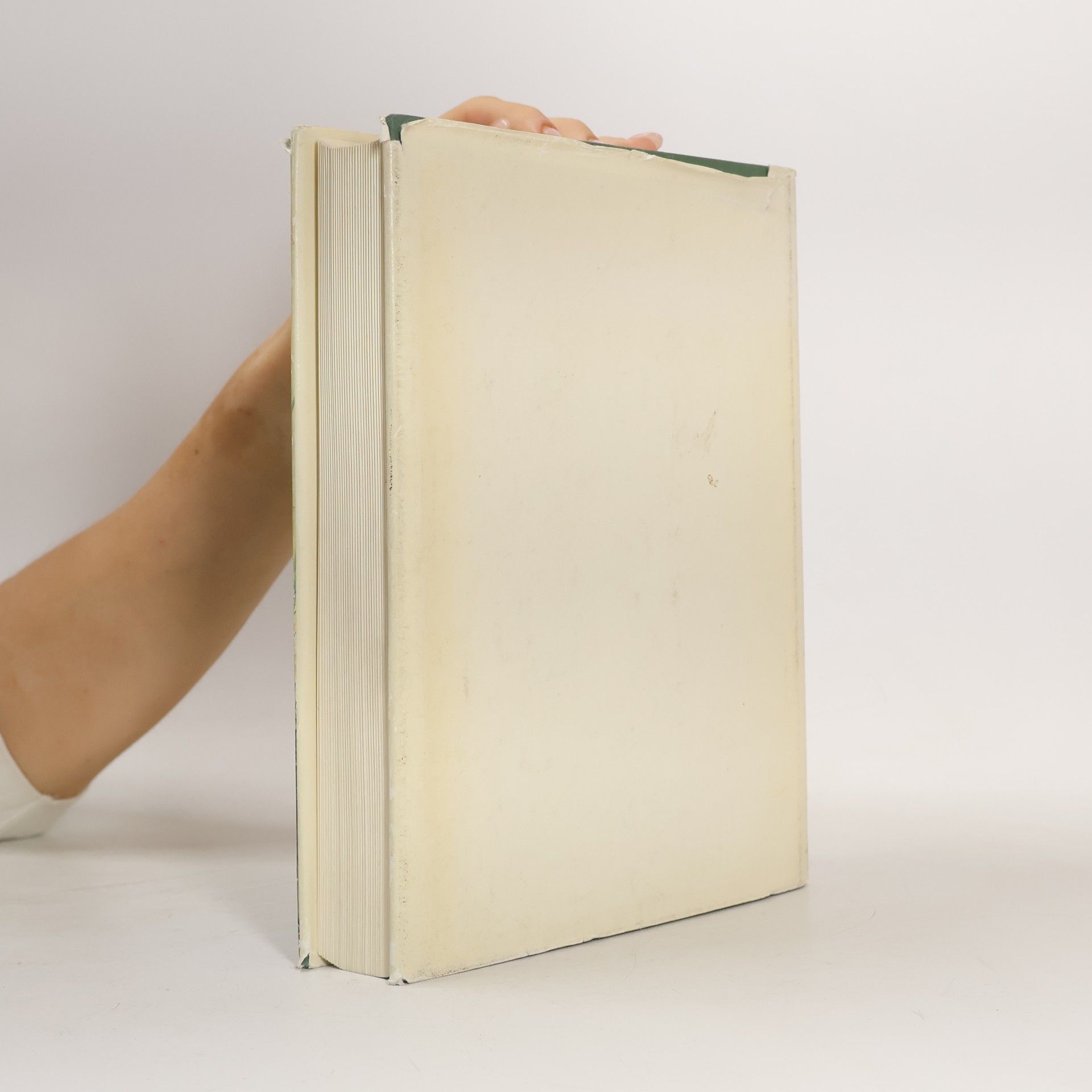 Various authors Die Dürerzeichnungen der Albertina