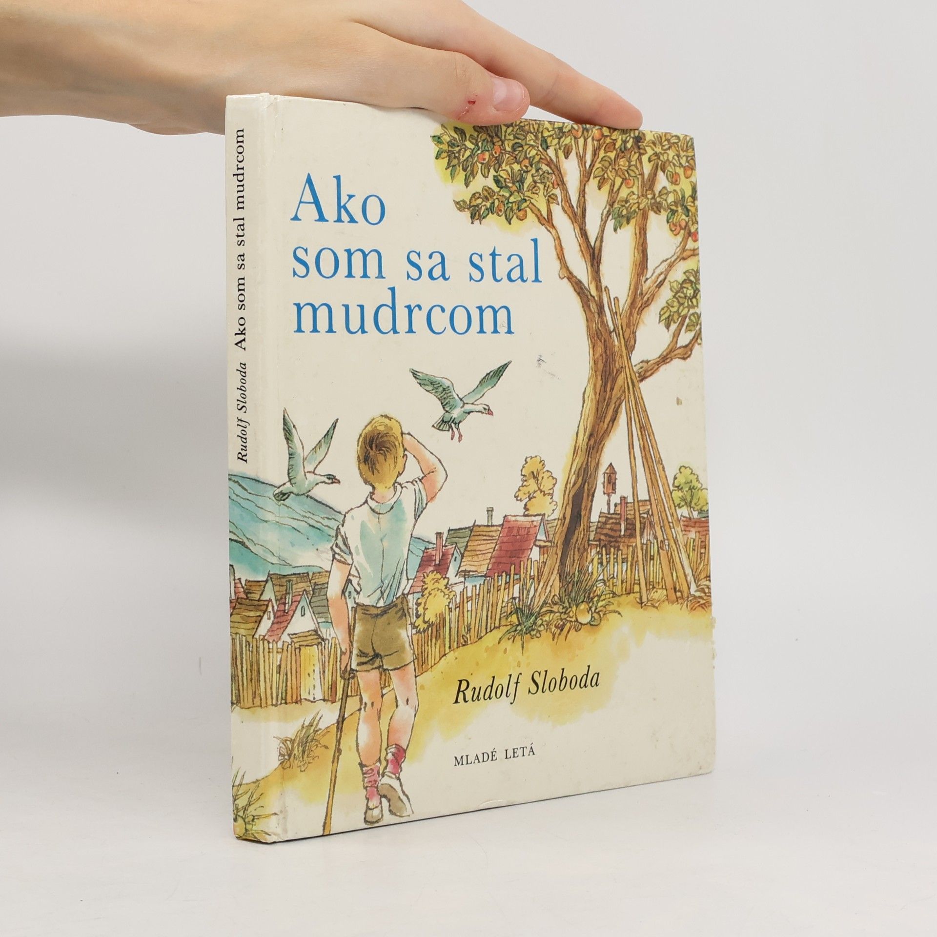 Ako som sa stal mudrcom