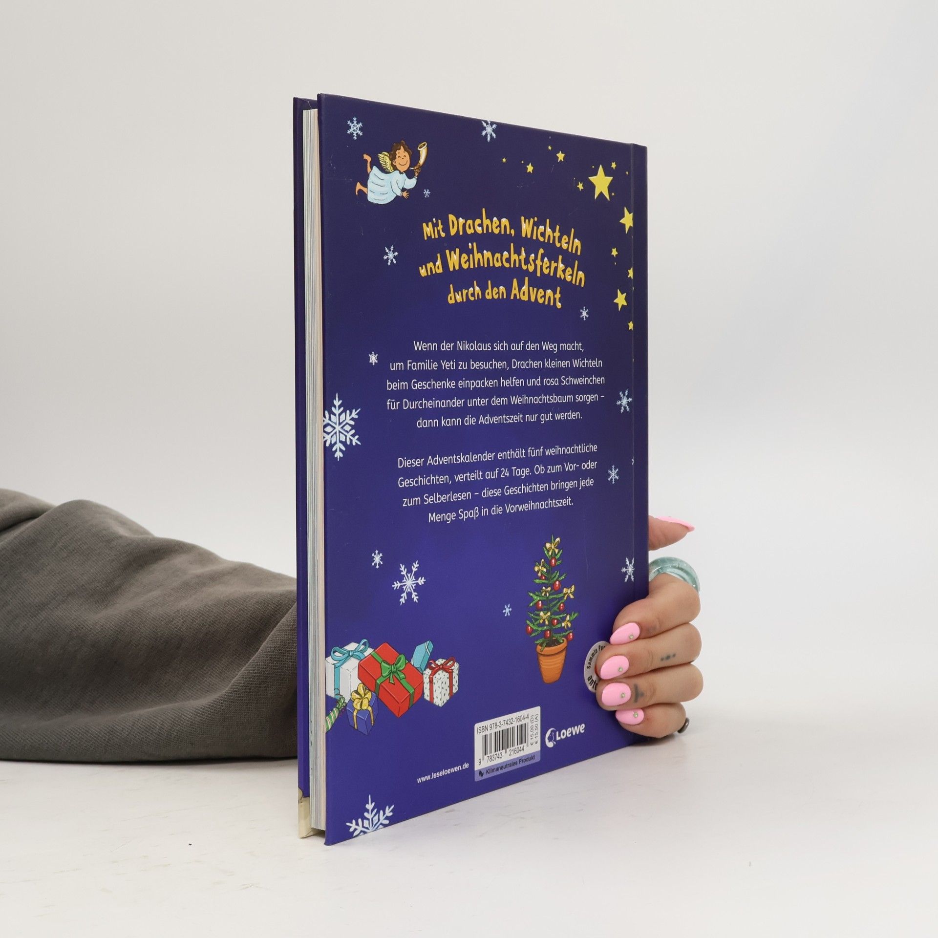 Eva Hierteis Leselöwen-Adventskalender für Erstleser