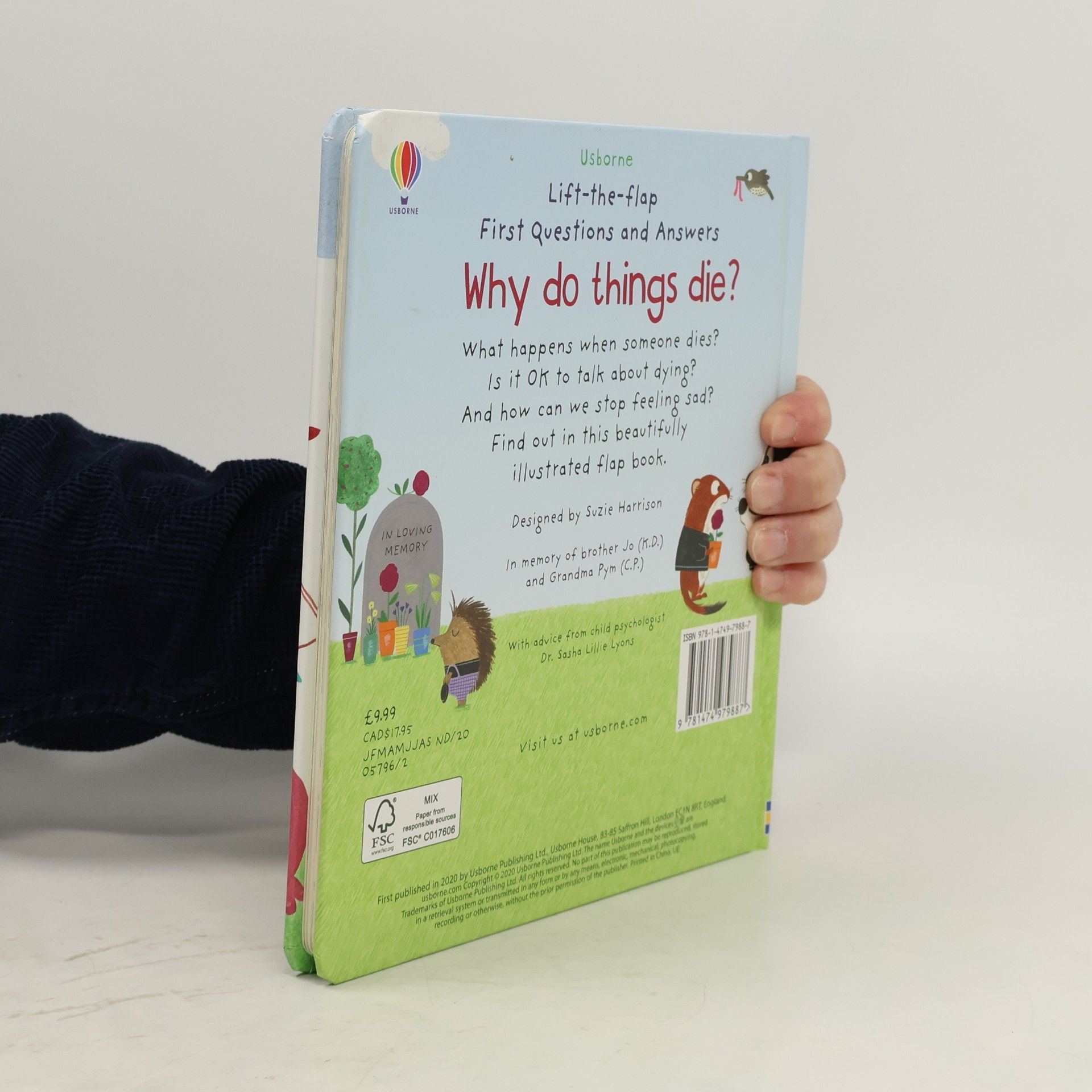 Katie Daynes First Questions and Answers: Why Do Things Die?