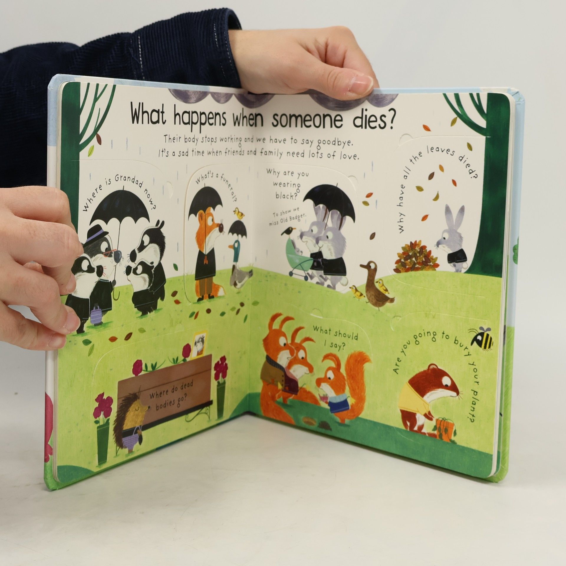 Katie Daynes First Questions and Answers: Why Do Things Die?