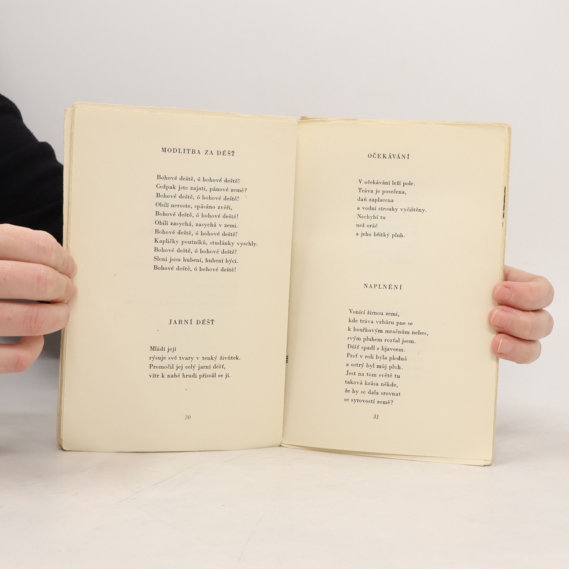 Lubor Hájek Lók-Gít: Poesie indických polí
