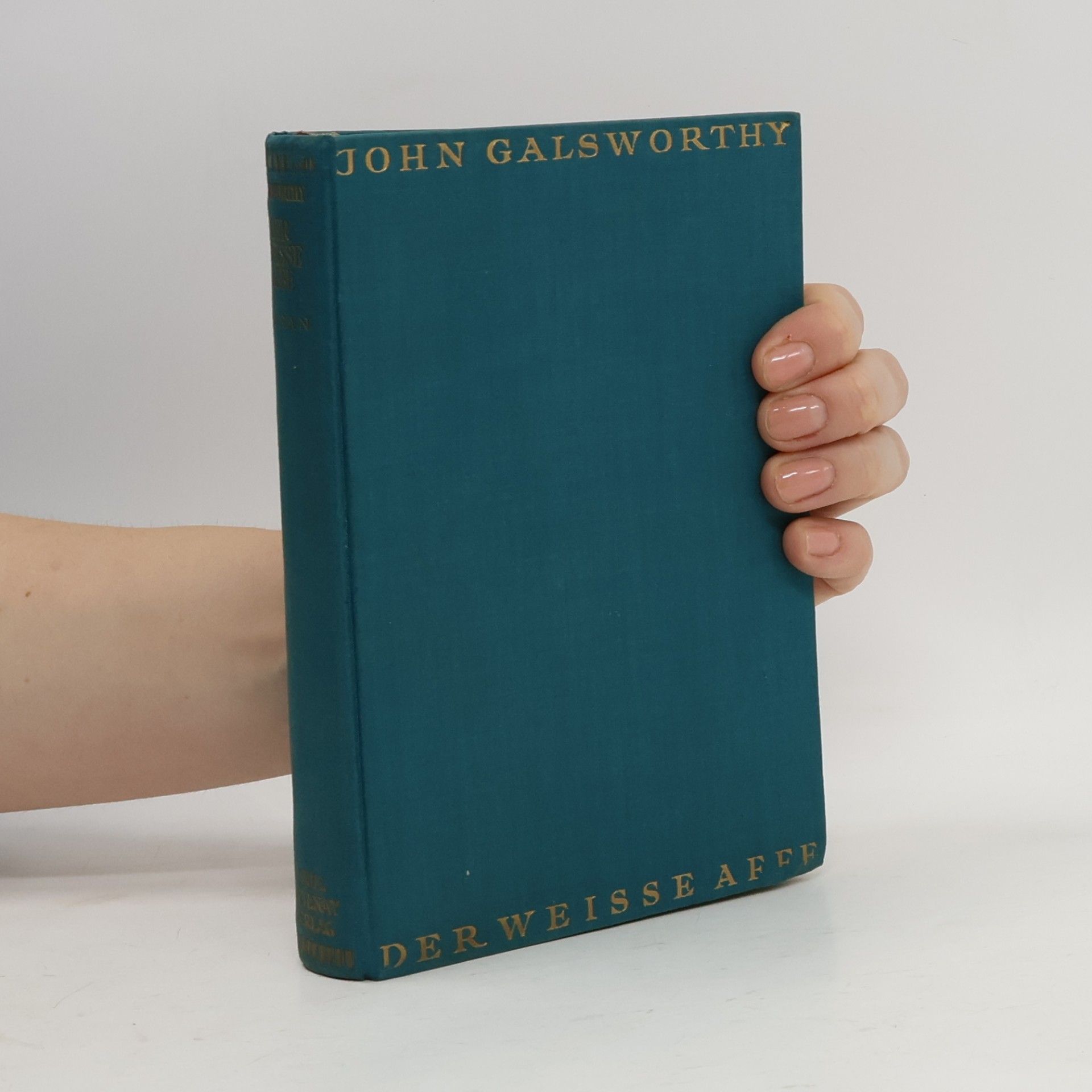 John Galsworthy Die Forsyte Saga