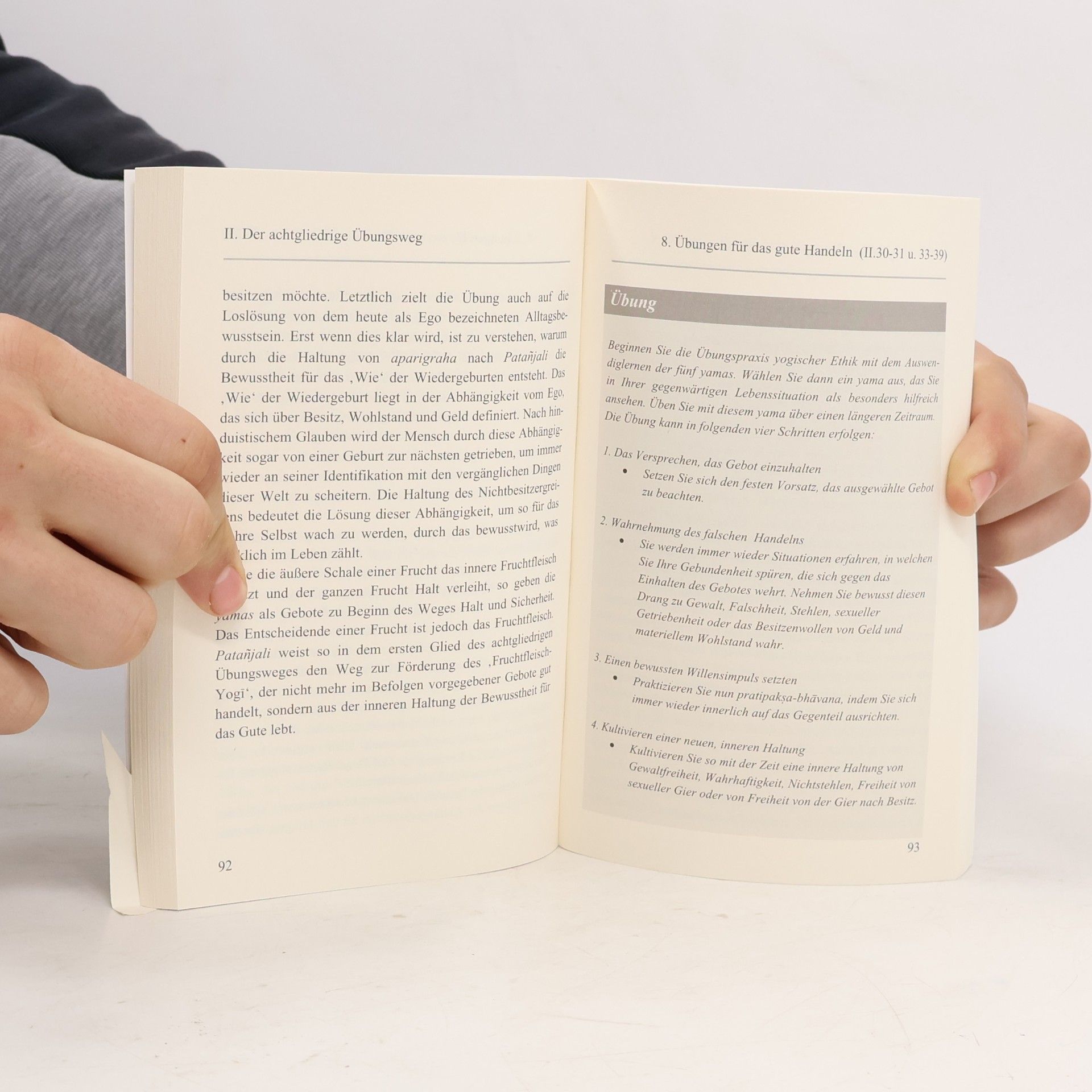 Eckard Wolz Gottwald Die Yoga-Sutras im Alltag leben
