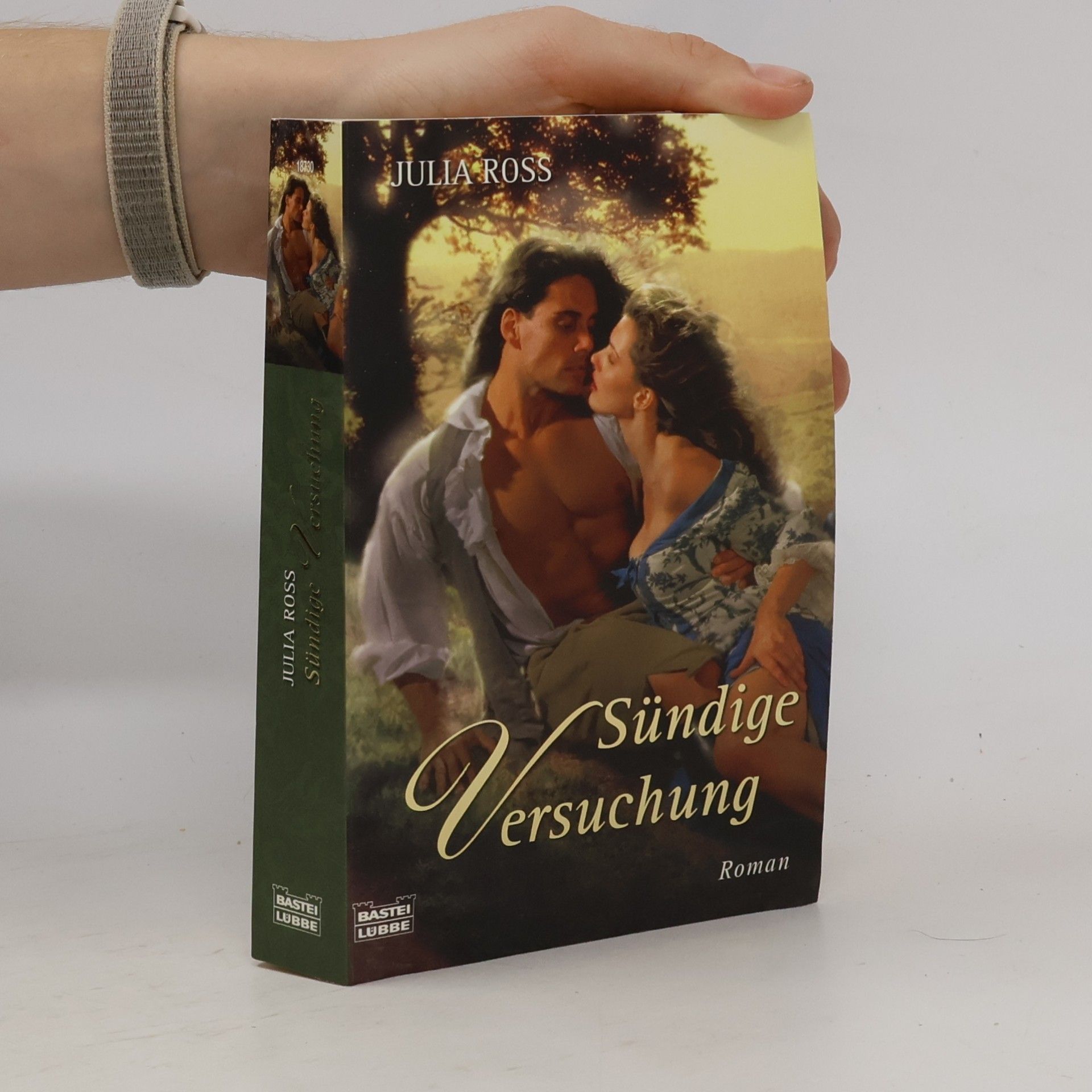 Sündige Versuchung. Roman