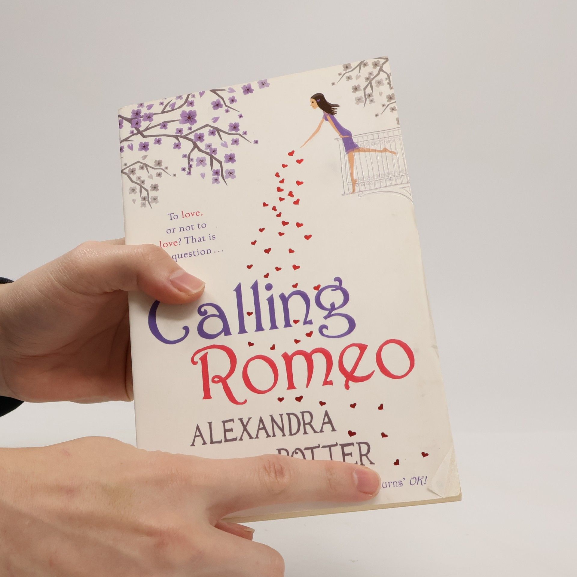 Alexandra Potter Calling Romeo