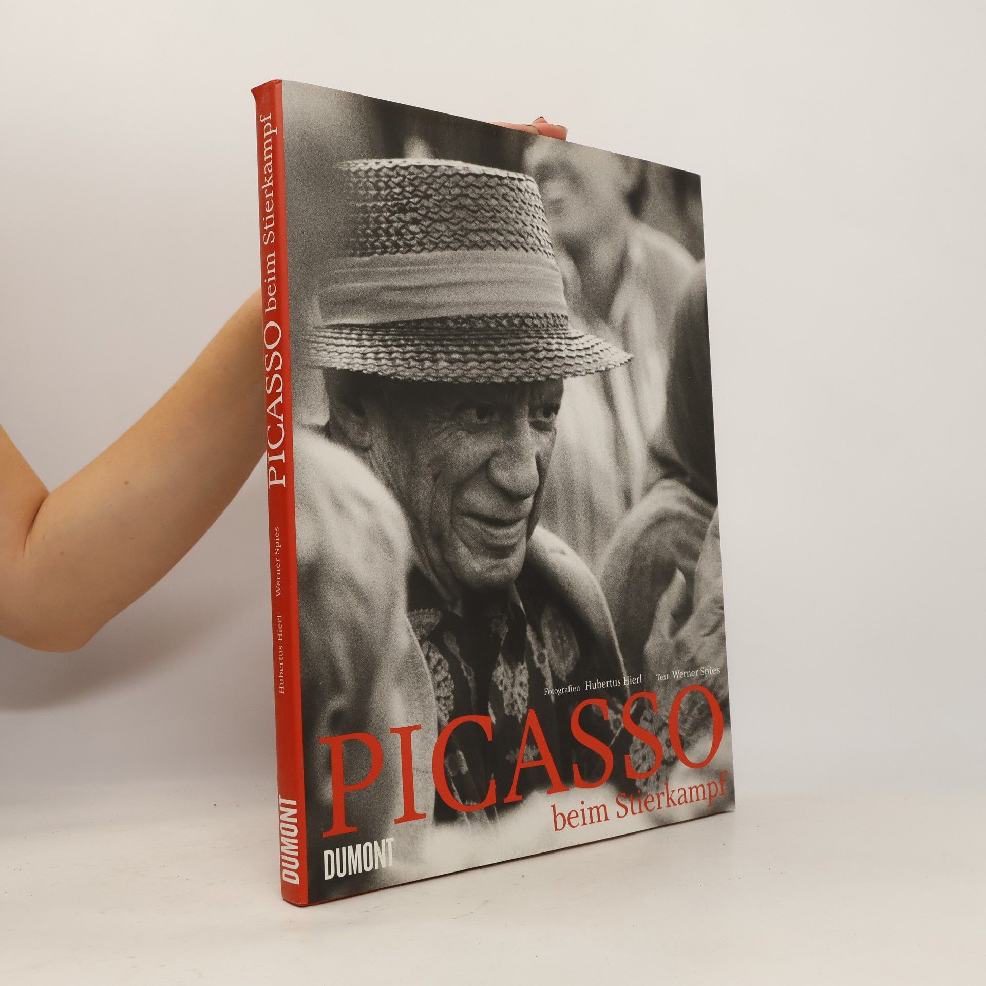 Picasso beim Stierkampf