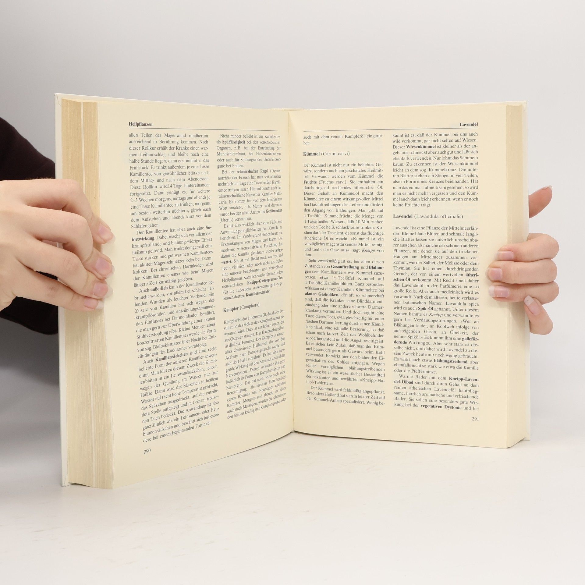 Josef H. Kaiser Das große Kneippbuch