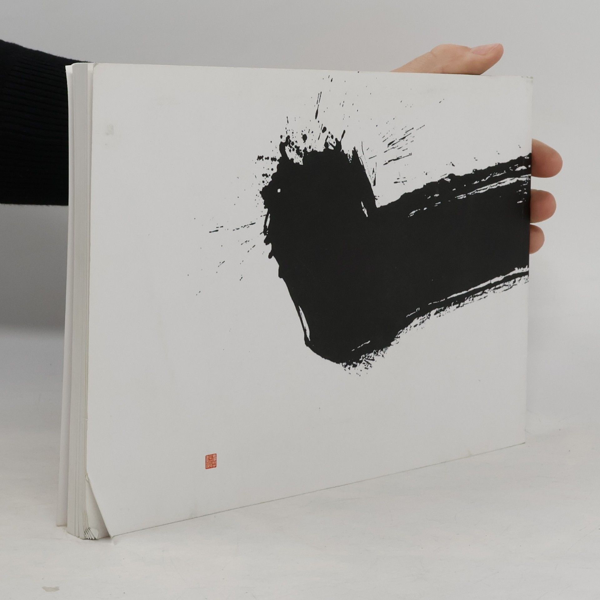 Kolektív autorov The Ink World of Shōko Kanazawa. Shōko Kanazawa a její tušový svět