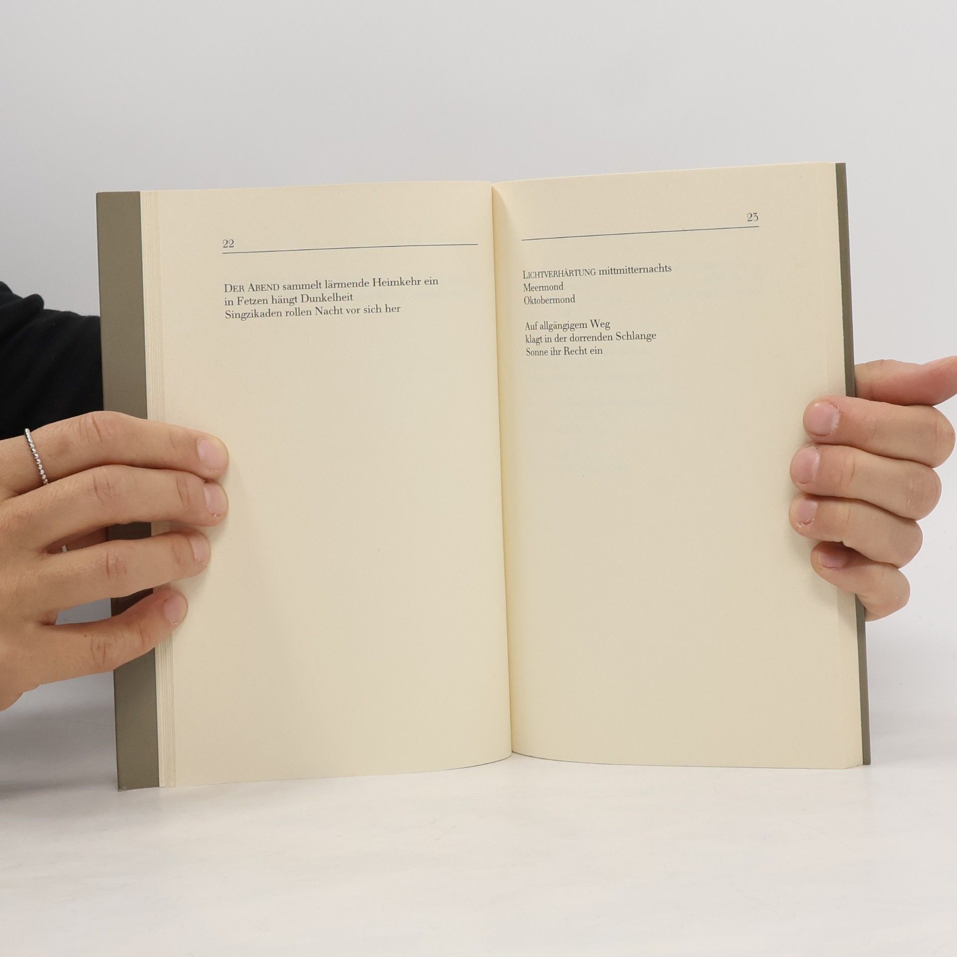 Rudolf Bayr Flugsand und Schlaf