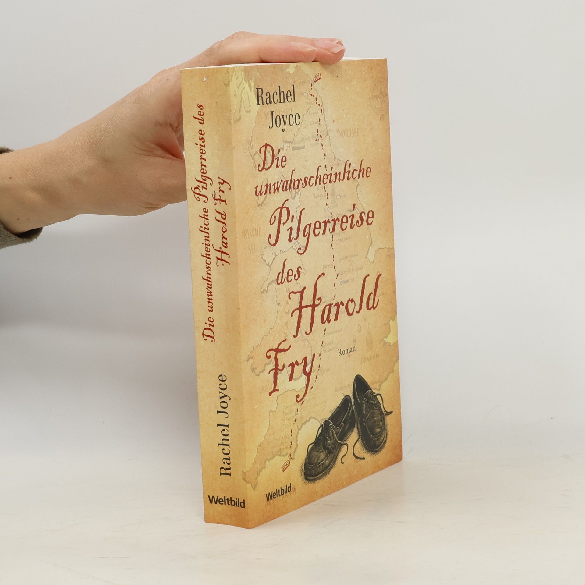 Die unwahrscheinliche Pilgerreise des Harold Fry