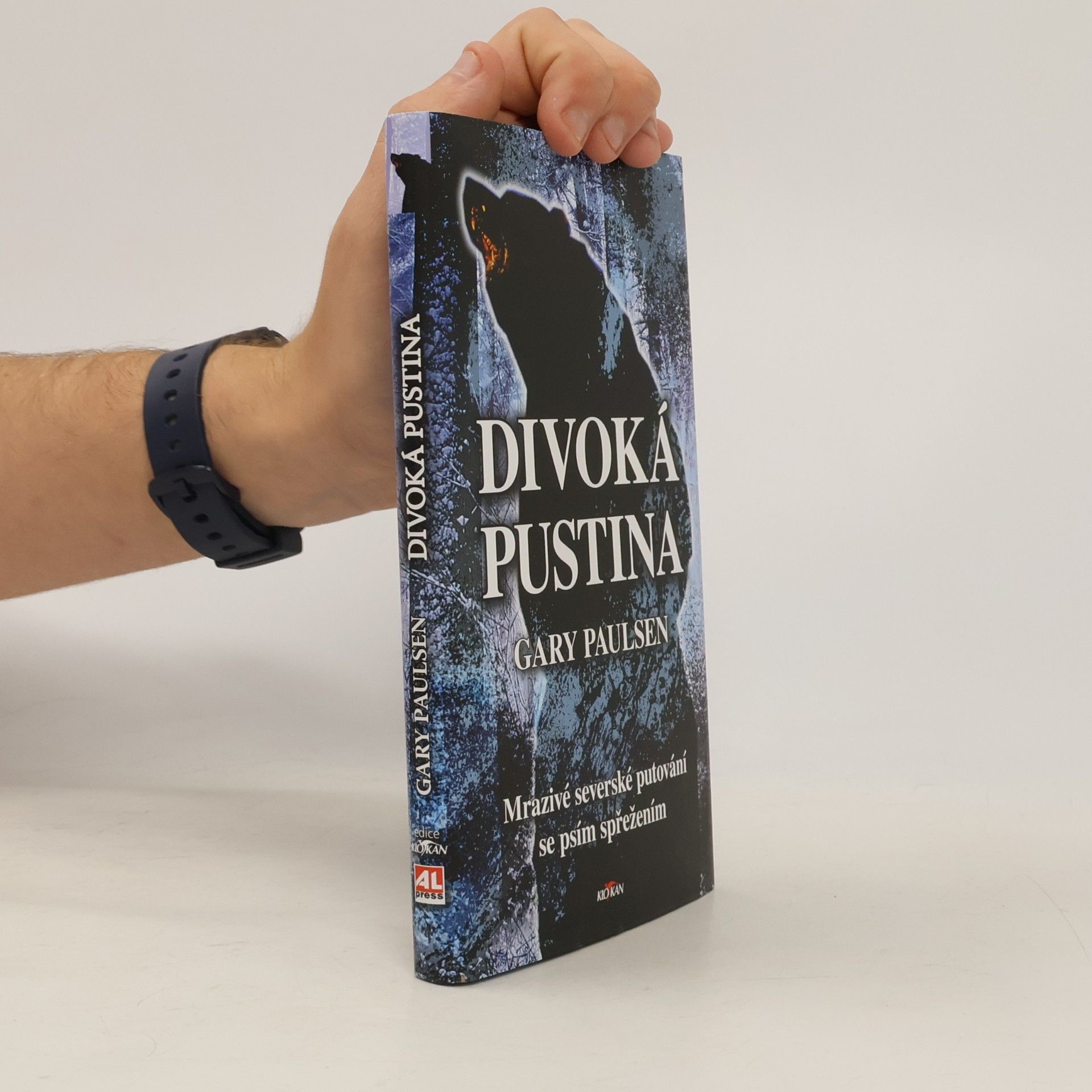 Divoká pustina