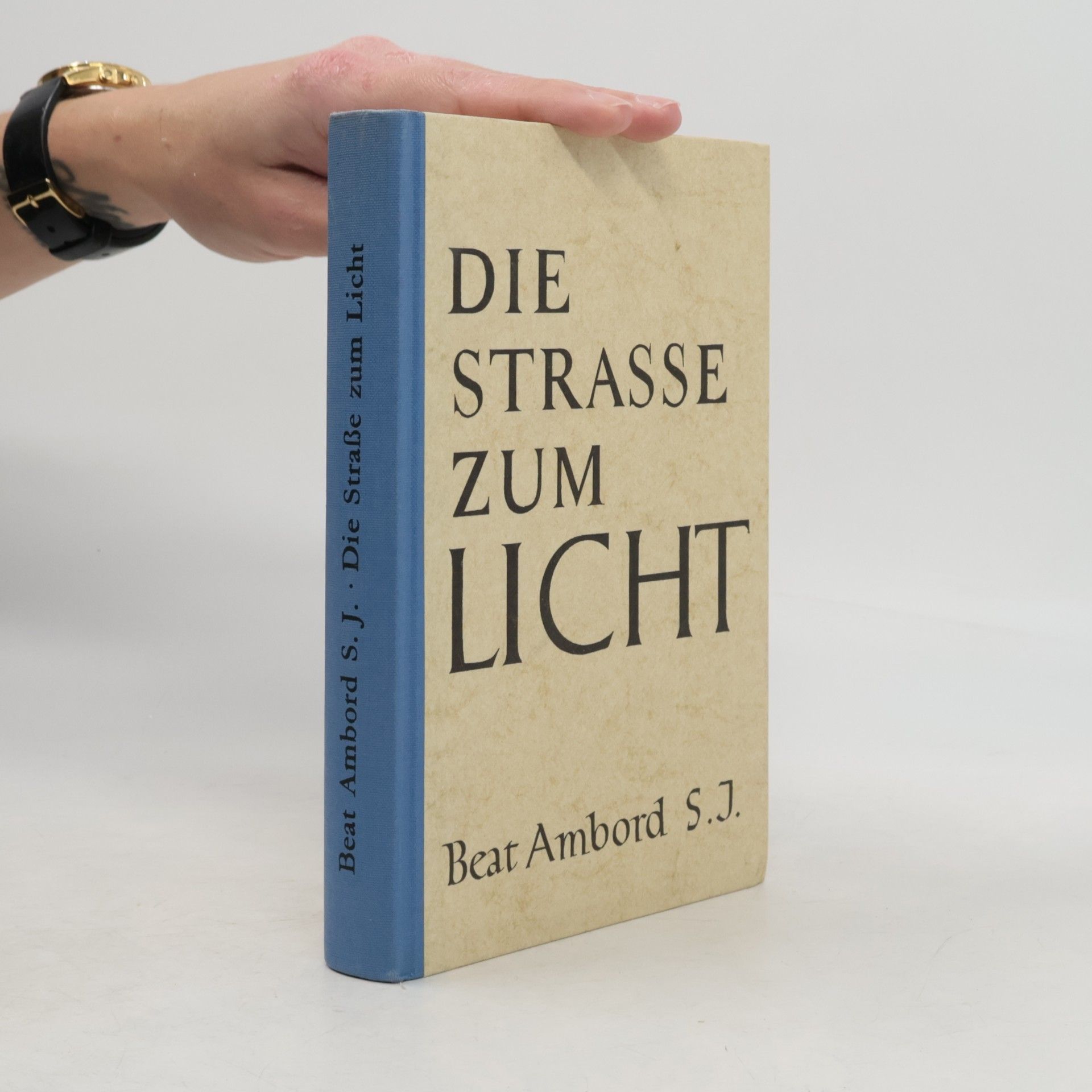 Beat Ambord Die Strasse zum Licht