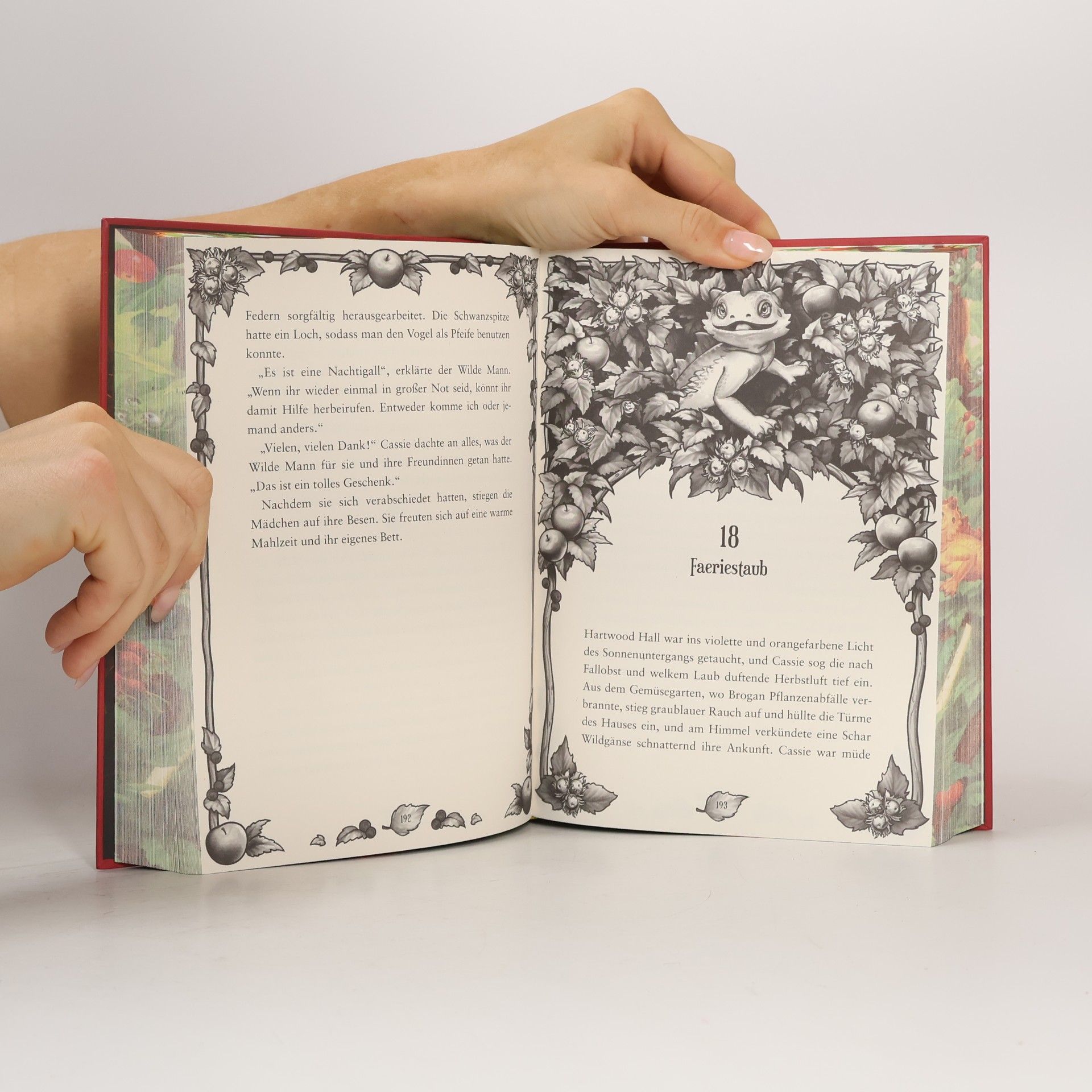 Skye McKenna Cassandra Morgan - 2: Die magische Flöte