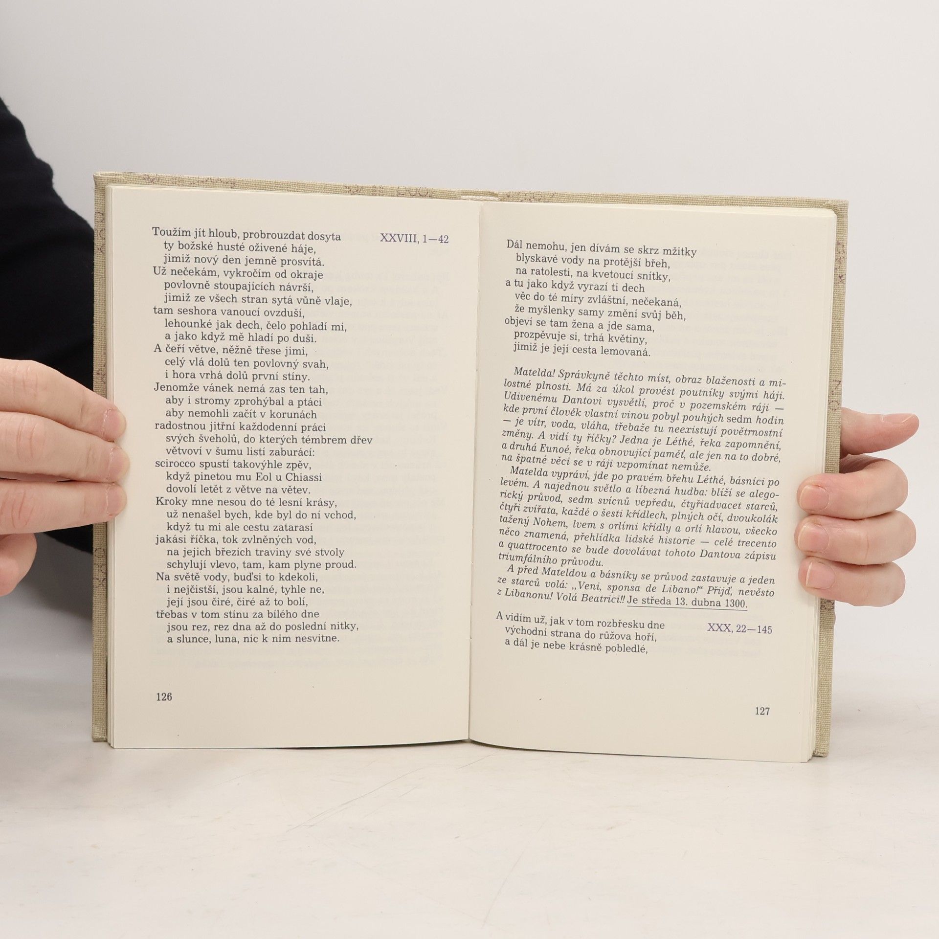 Dante Alighieri Dante. Zlatý fond poezie
