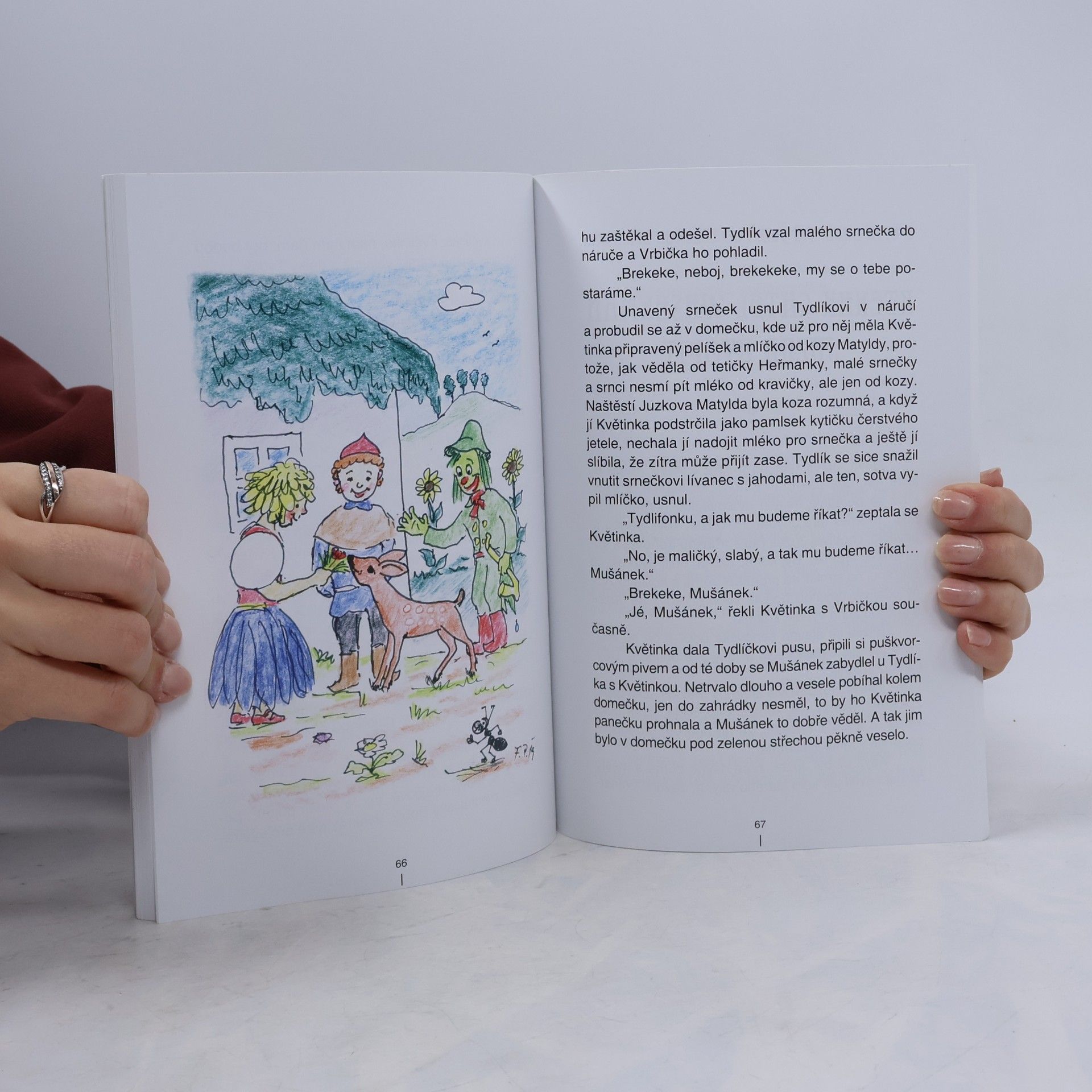 Žofie Zejdová U čtyř dubů, tří vrb, pod zelenou střechou