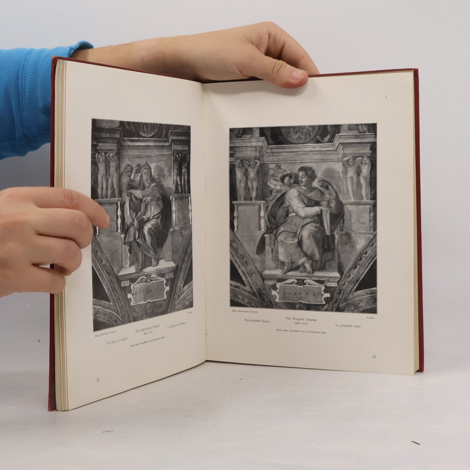 D. Anderson Des Meisters Werke in 169 Abbildungen. Michelangelo