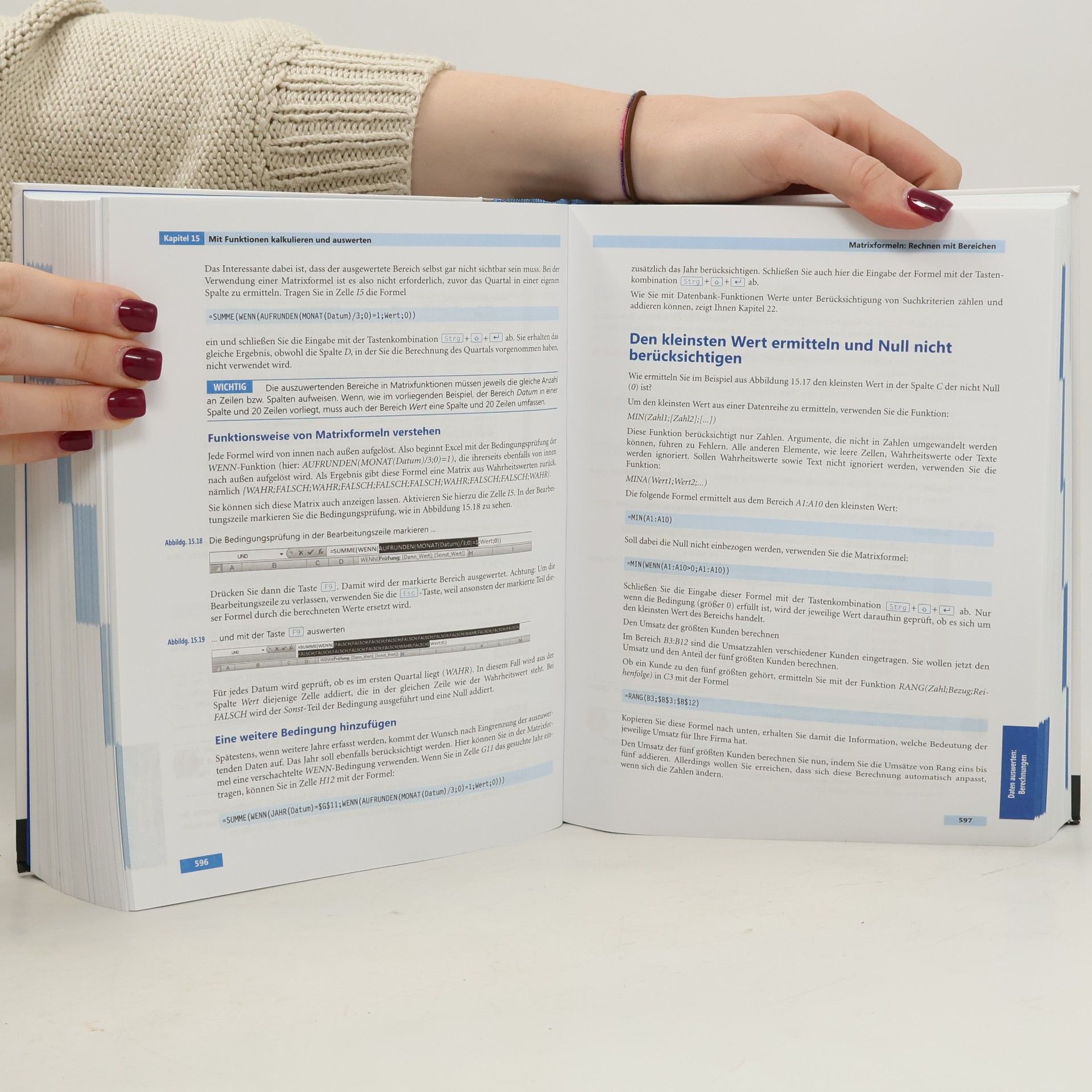 Eckehard Pfeifer Microsoft Office Excel 2007 - Das Handbuch
