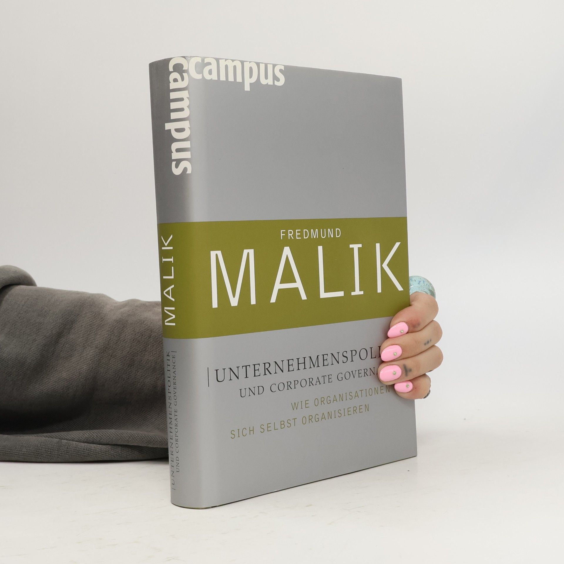Unternehmenspolitik und Corporate Governance. Wie Organisationen sich selbst organisieren