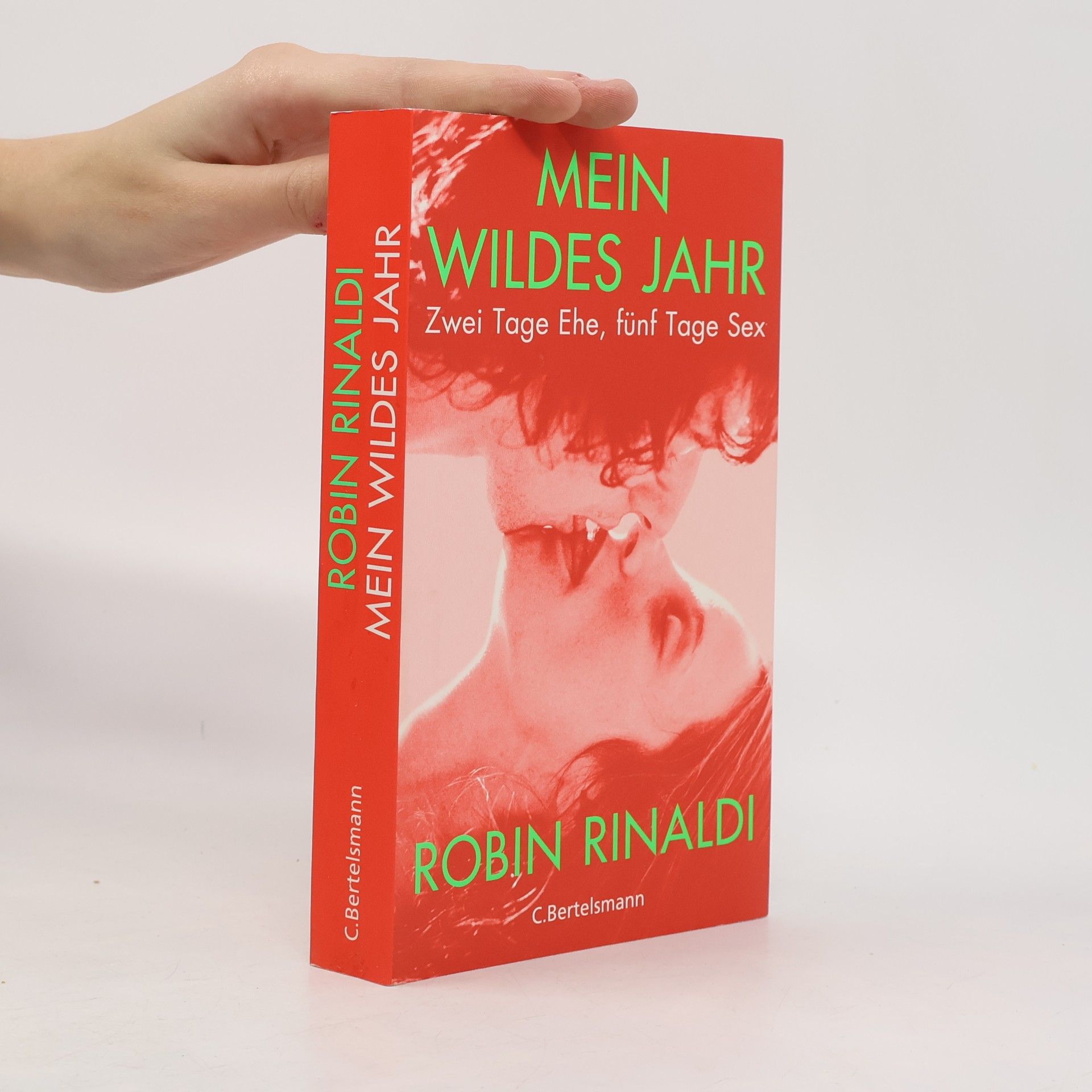 Robin Rinaldi Mein wildes Jahr