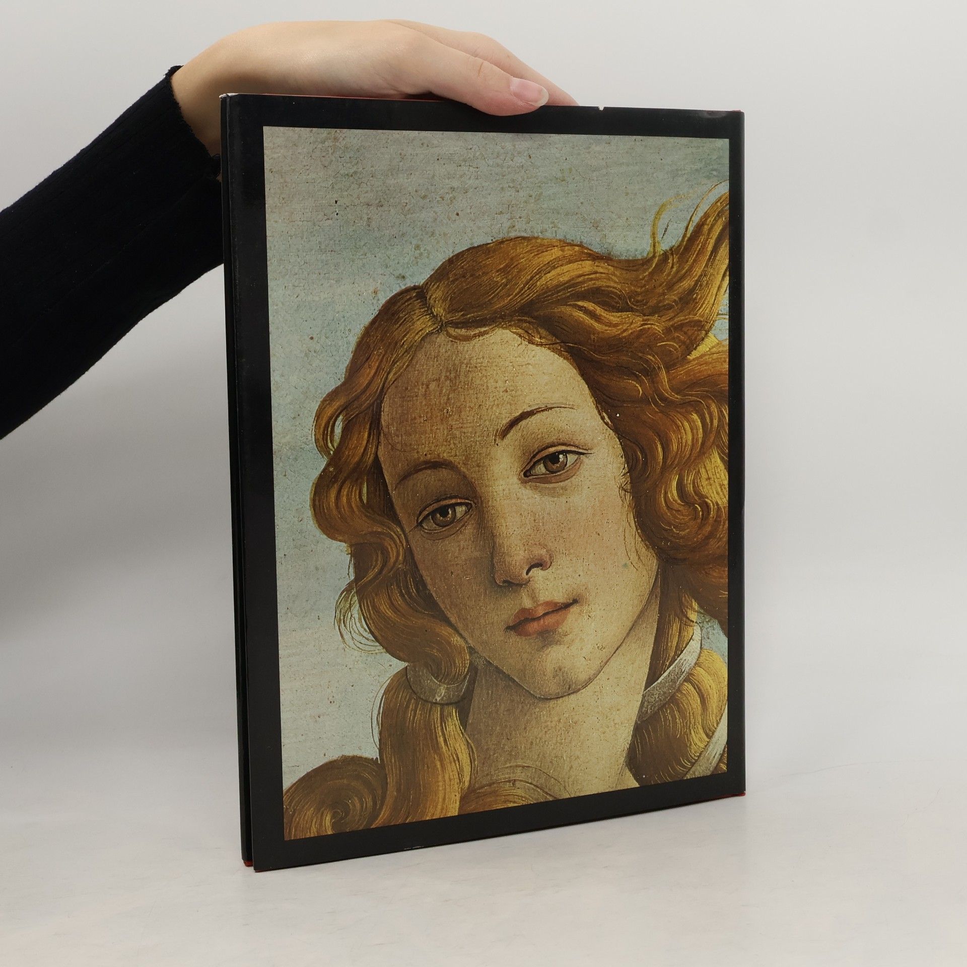 Bruno Santi Botticelli