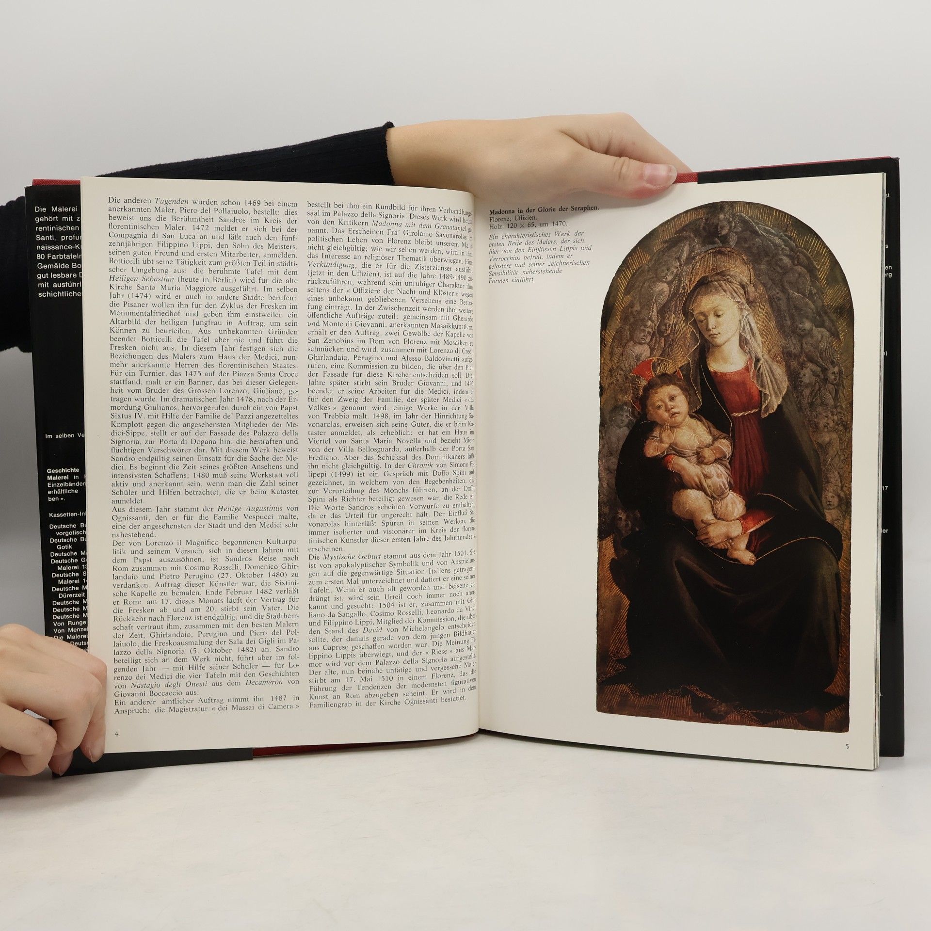 Bruno Santi Botticelli