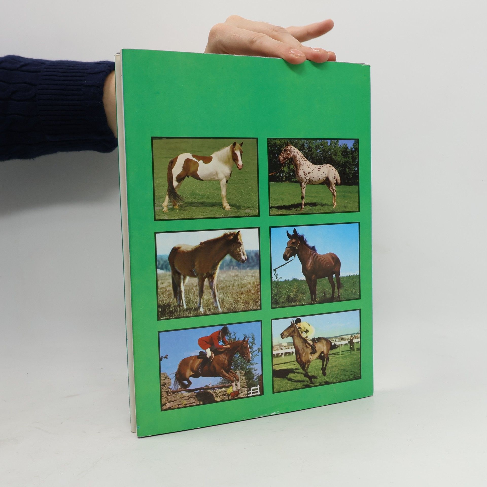 Jane Marks Book of the Horse
