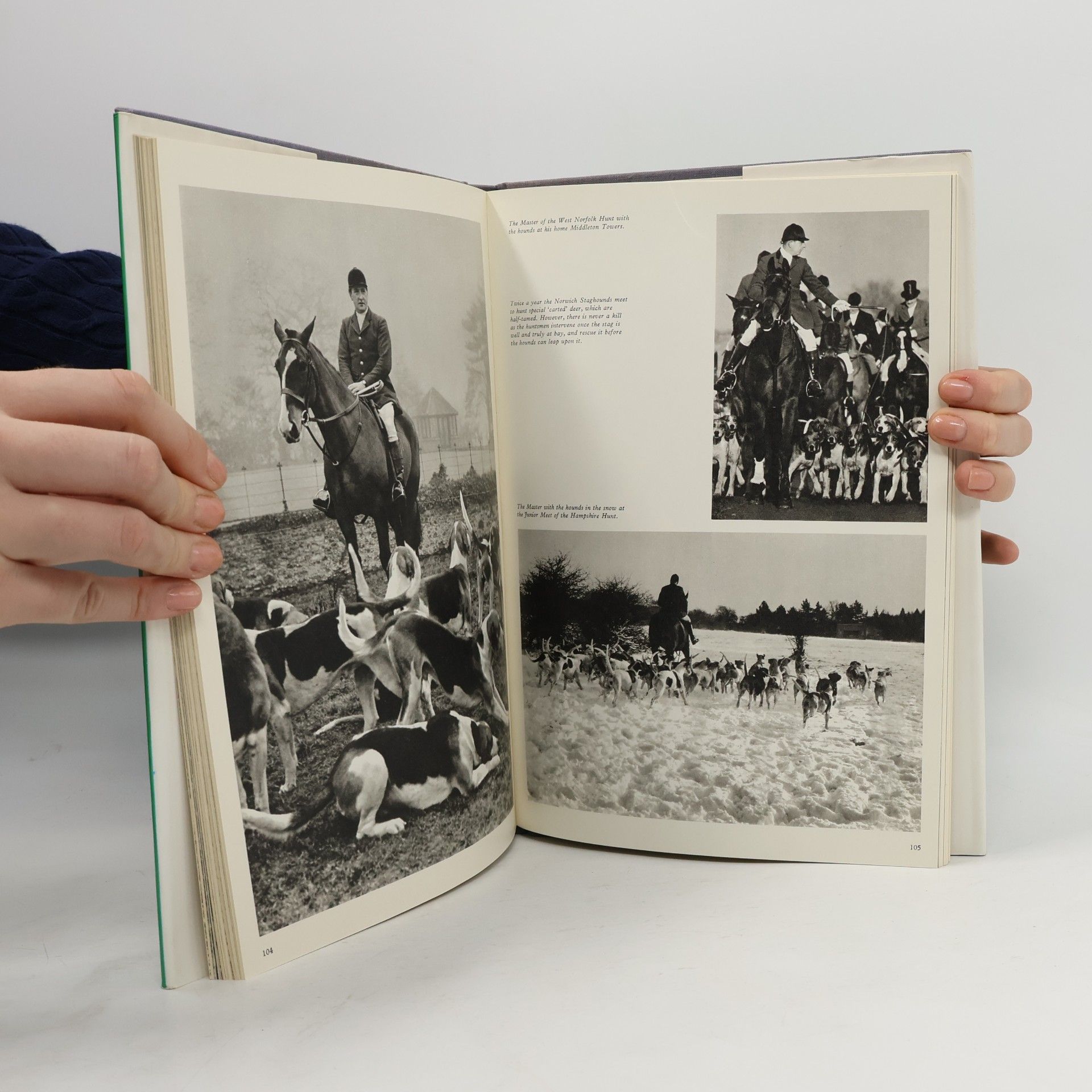Jane Marks Book of the Horse