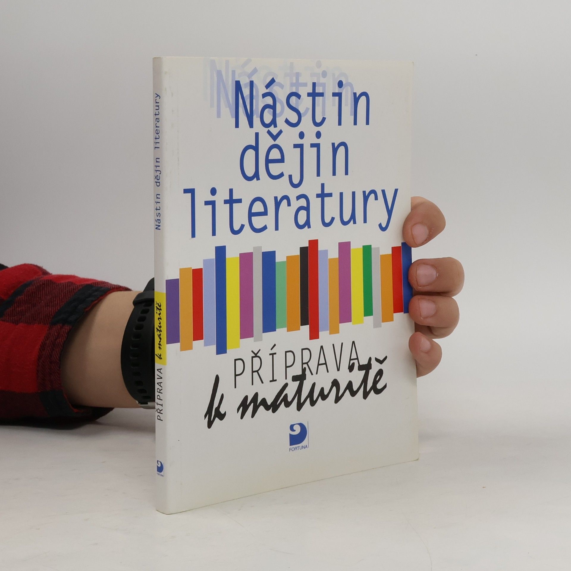 Nástin dějin literatury. Příprava k maturitě