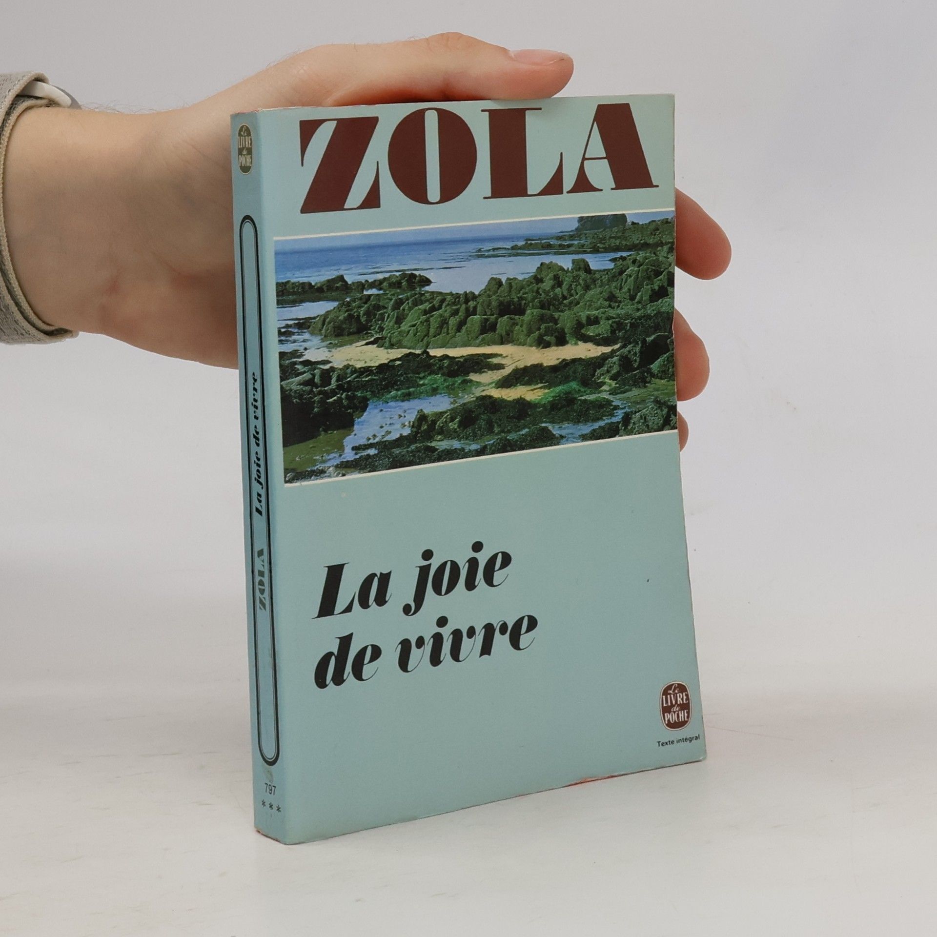 Émile Zola La Joie de vivre