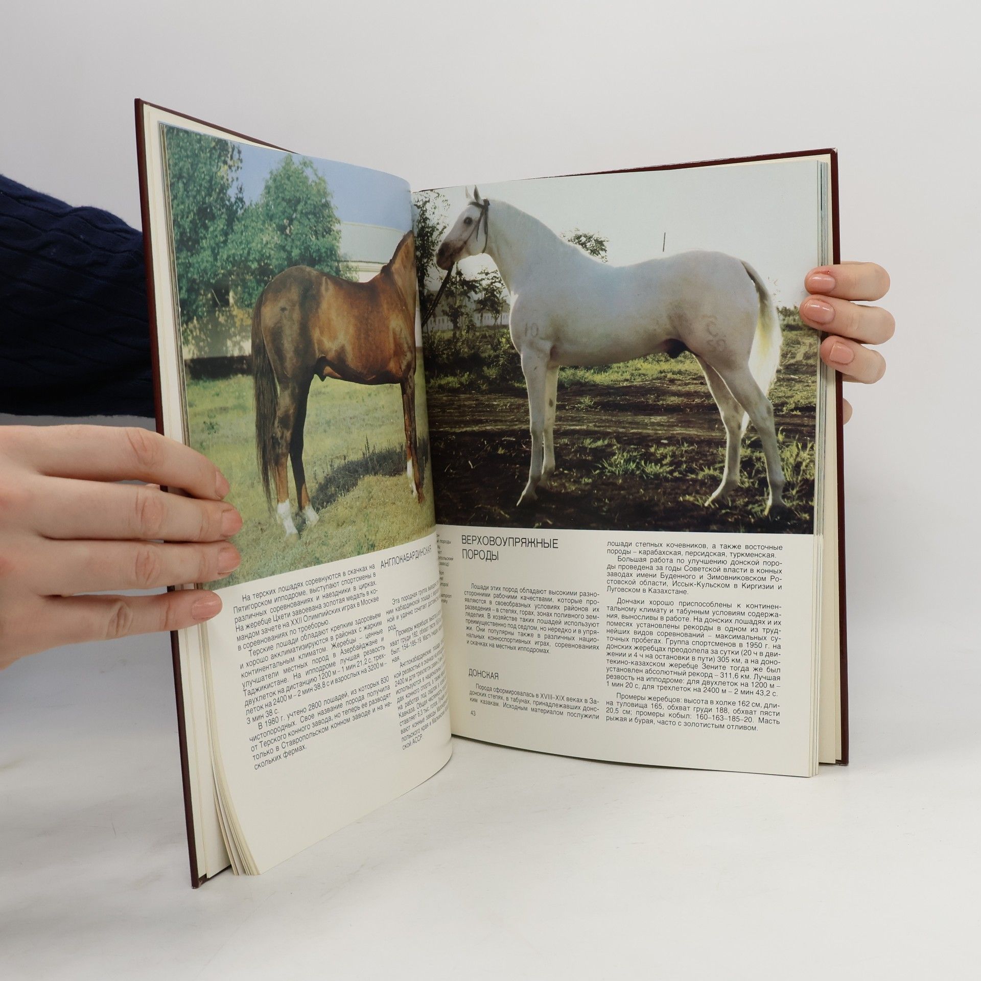 Yu. N. Barmintsev Коневодство в СССР. Horse Breedings In The USSR
