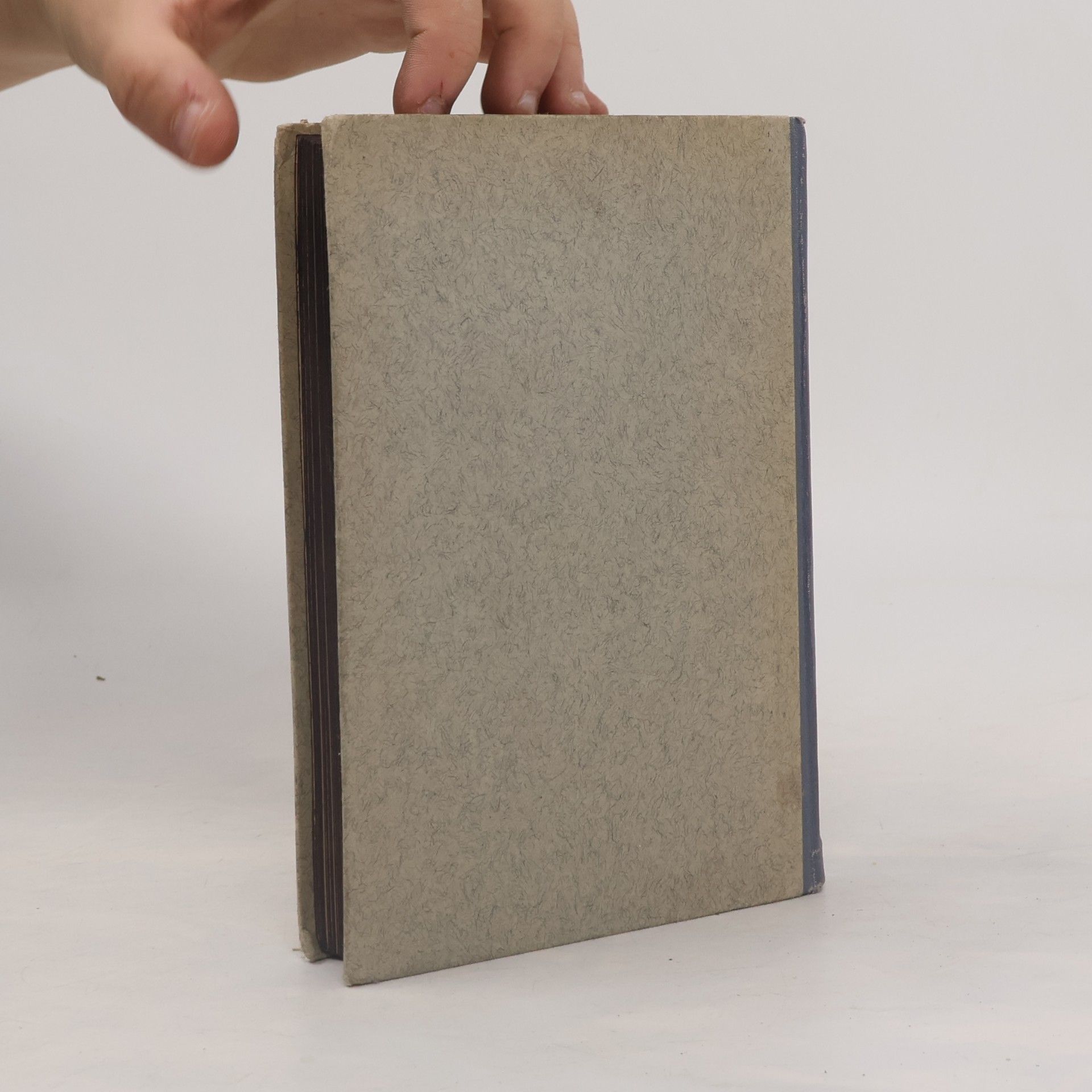 Richard Beißwanger Physikalisches Experimentierbuch