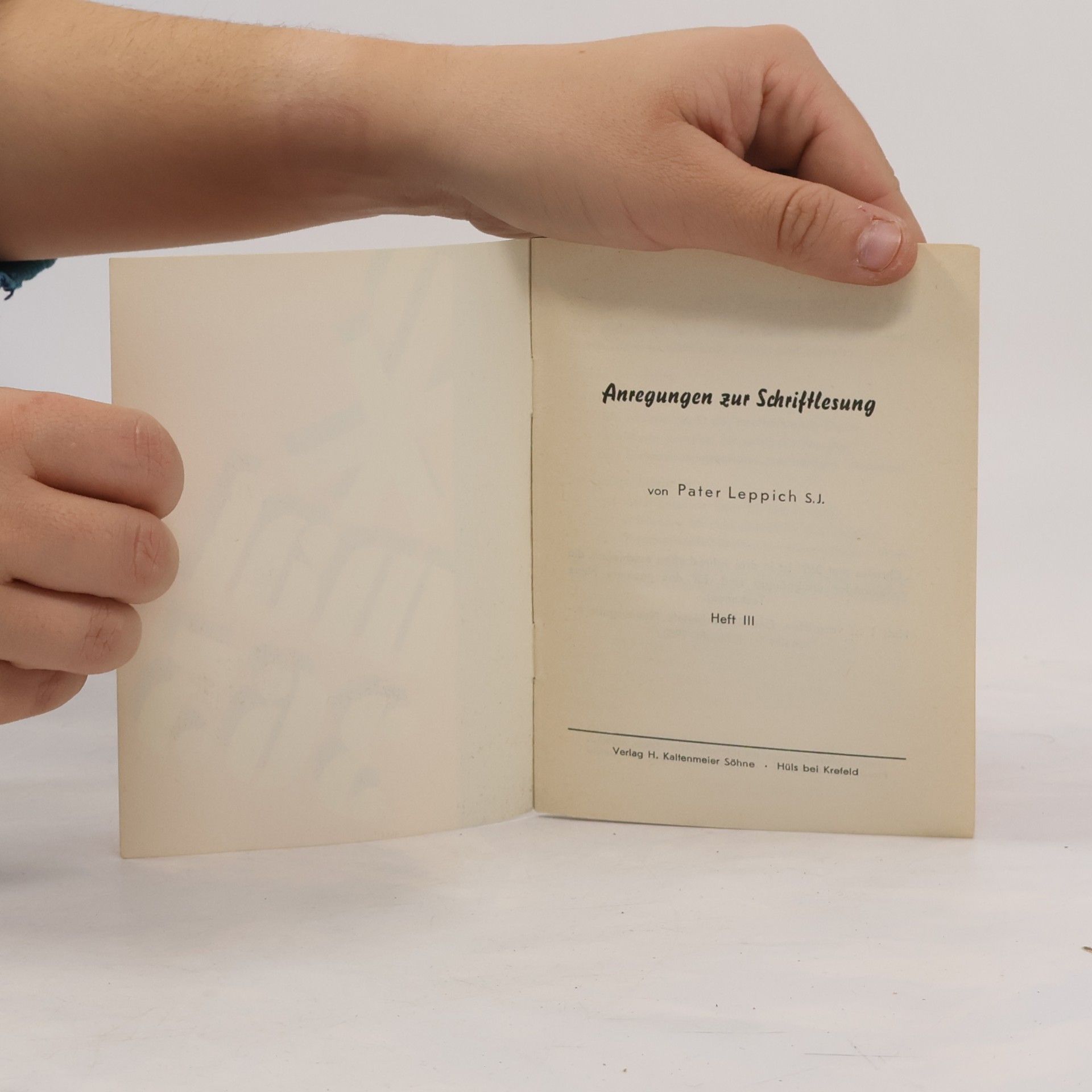 Pater Leppich Anregungen zur Schriftlesung III