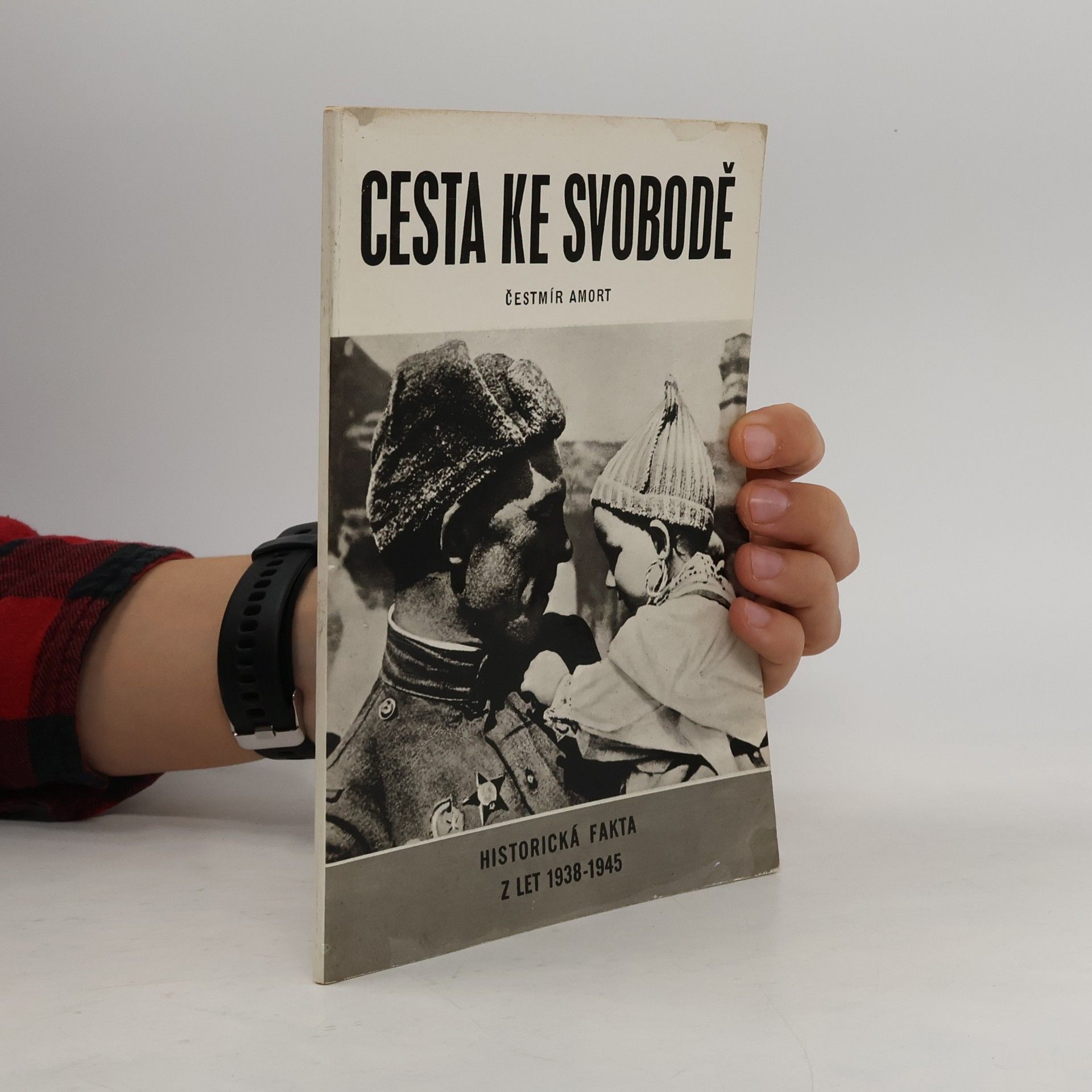 Cesta ke svobodě : historická fakta z let 1938-1945