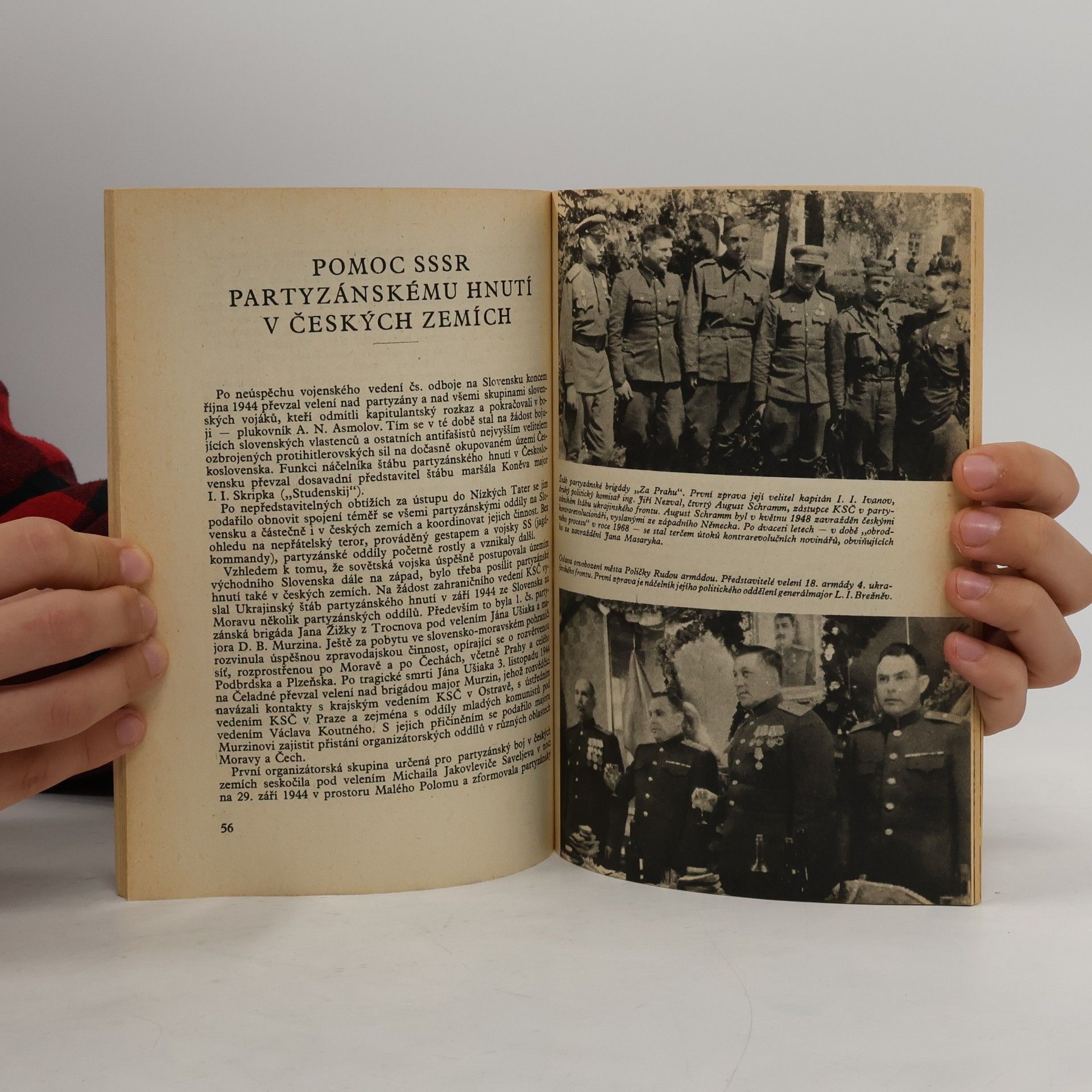 Čestmír Amort Cesta ke svobodě : historická fakta z let 1938-1945