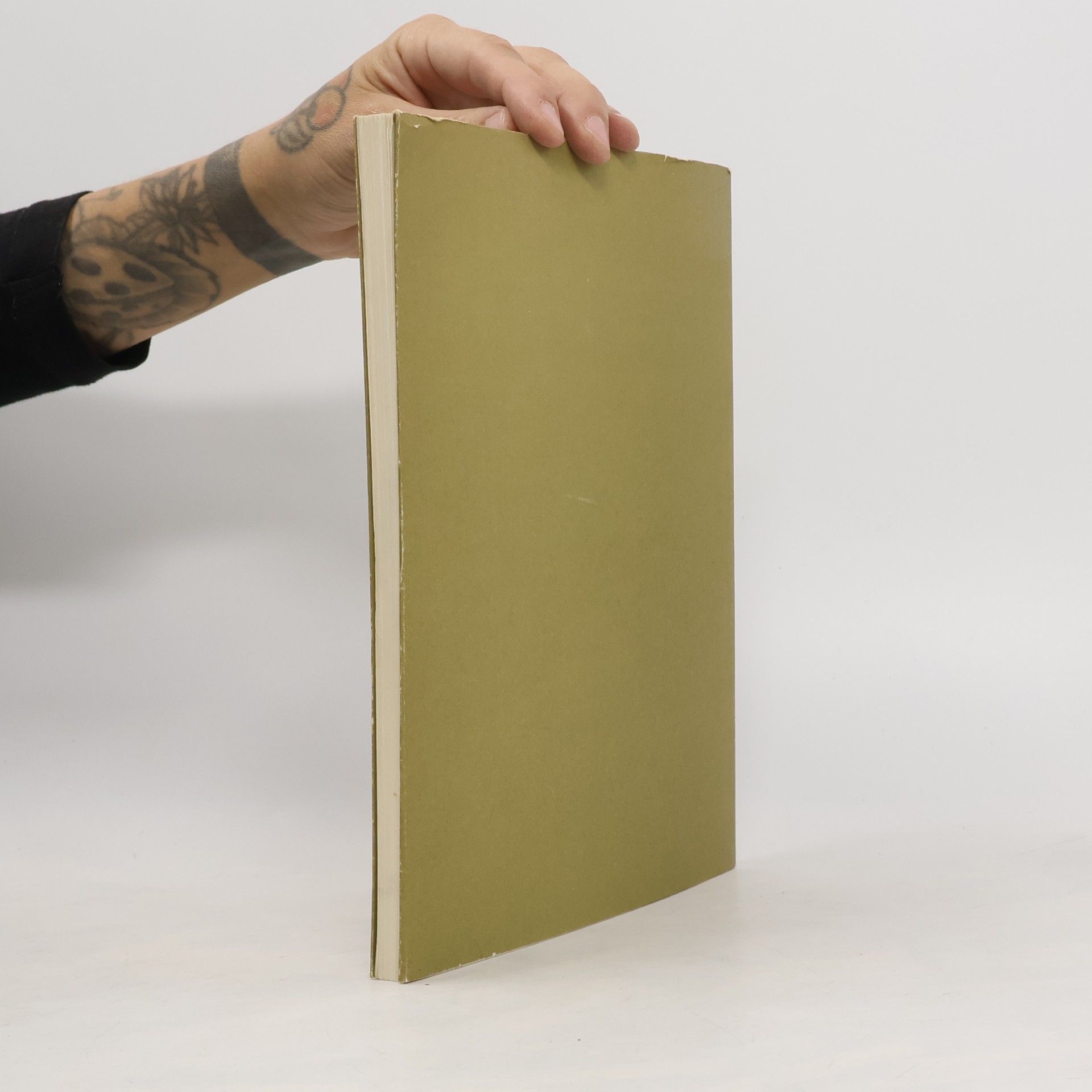 Gernot Piccottini Geschichte und Kunst in Millstatt